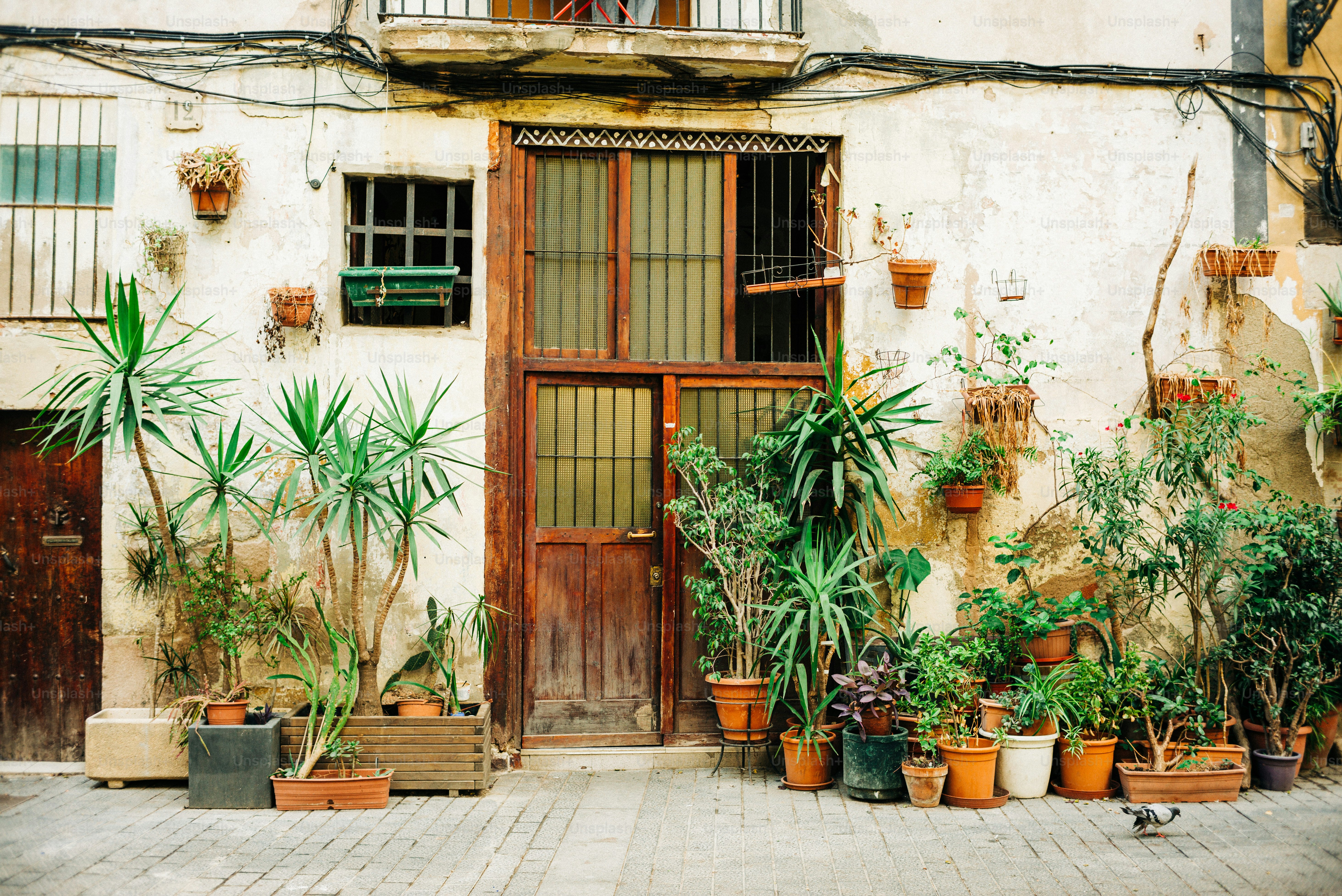 Plantes vertes en pots devant un bâtiment rustique