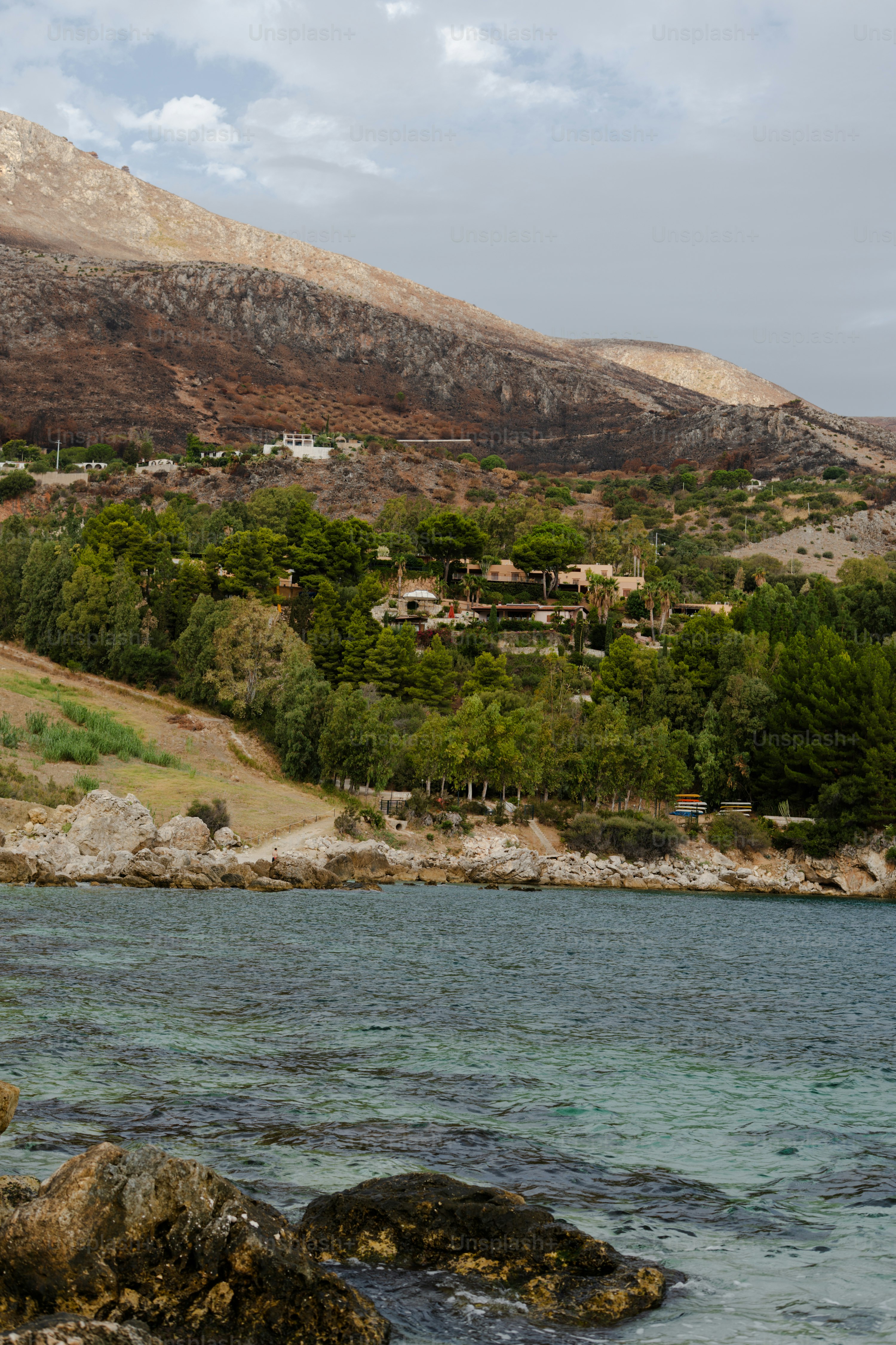 Coastal village nestled among green trees near rocky shore.