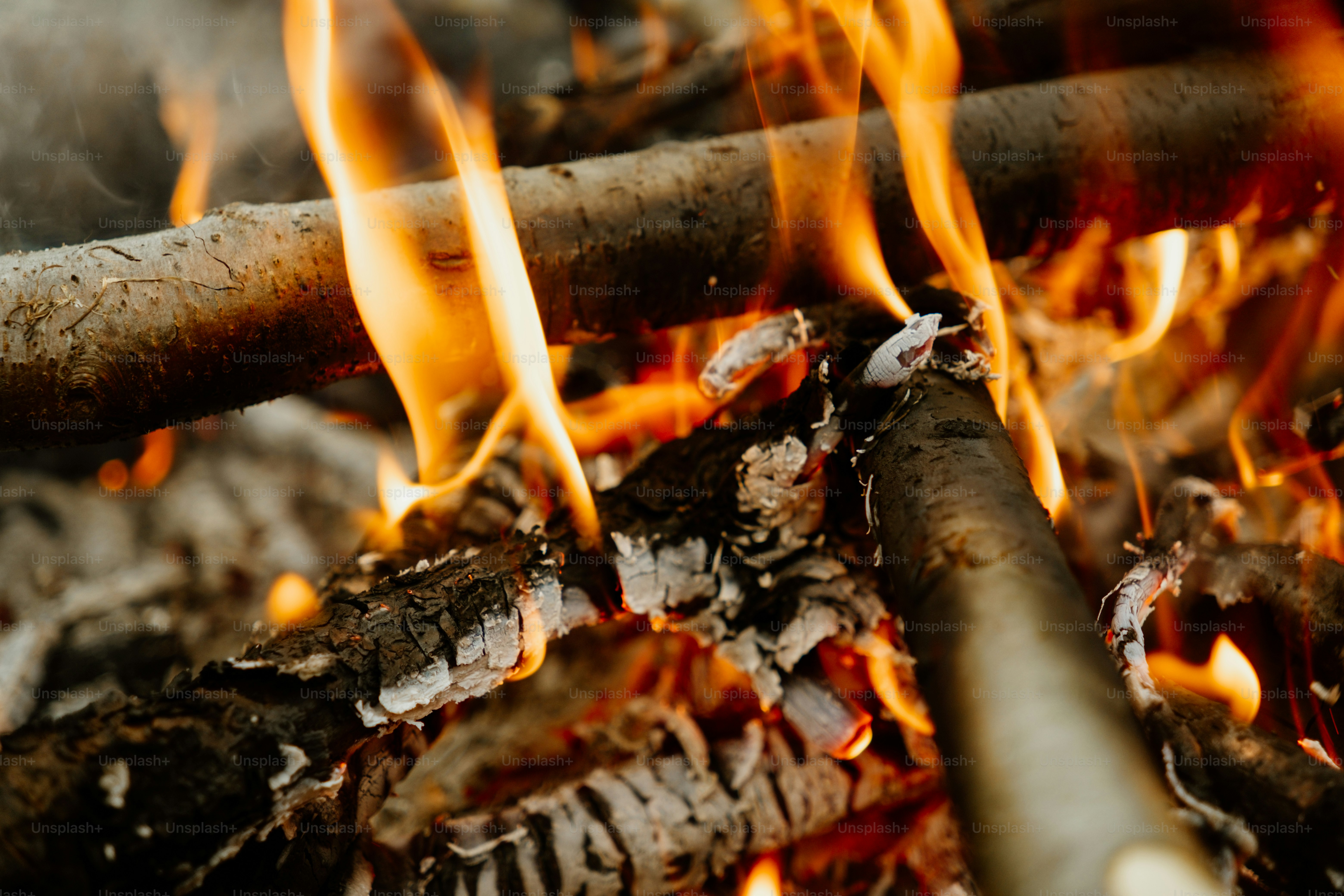 Close-up of burning logs in a campfire.