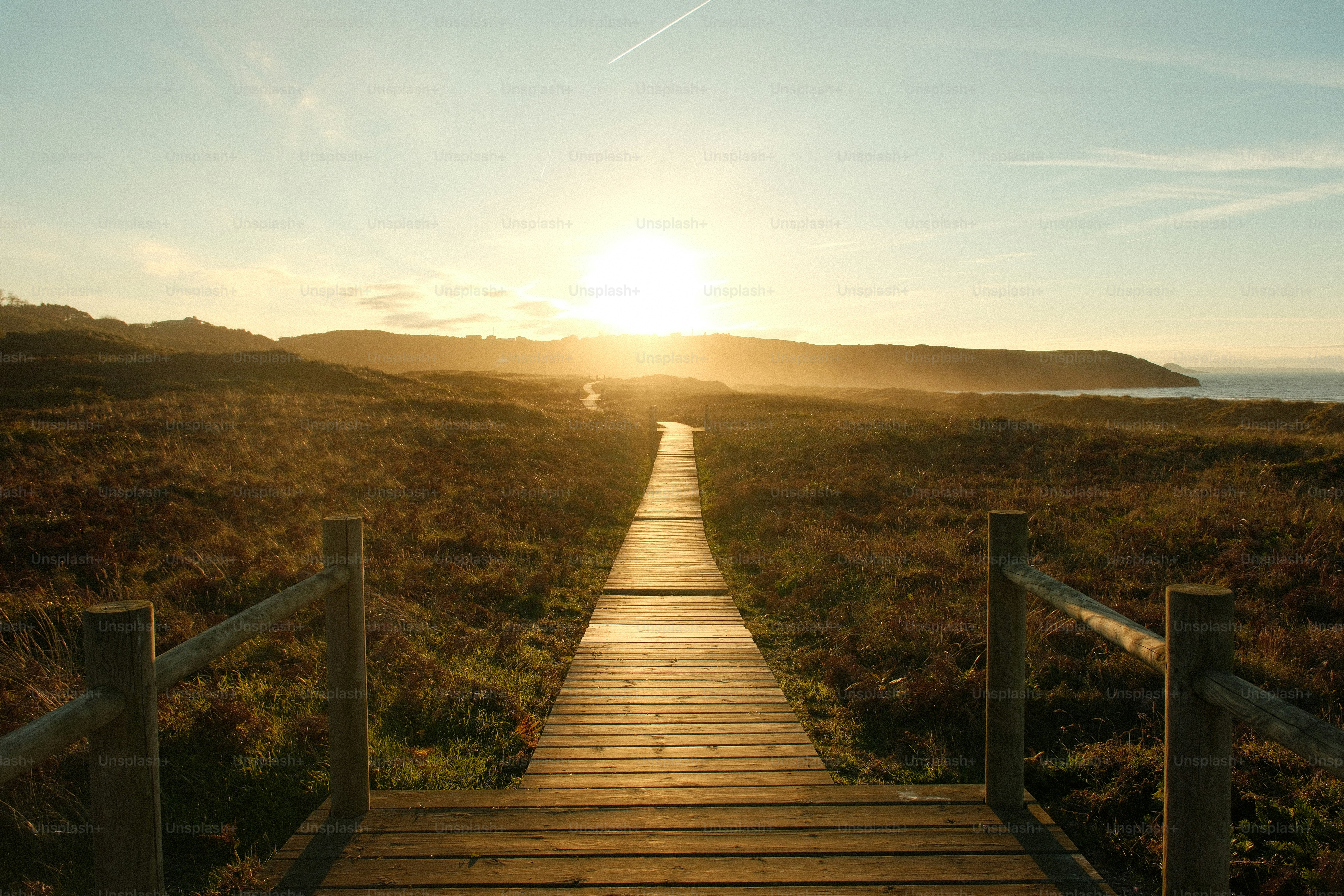 Wooden walkway through coastal heathland at sunset