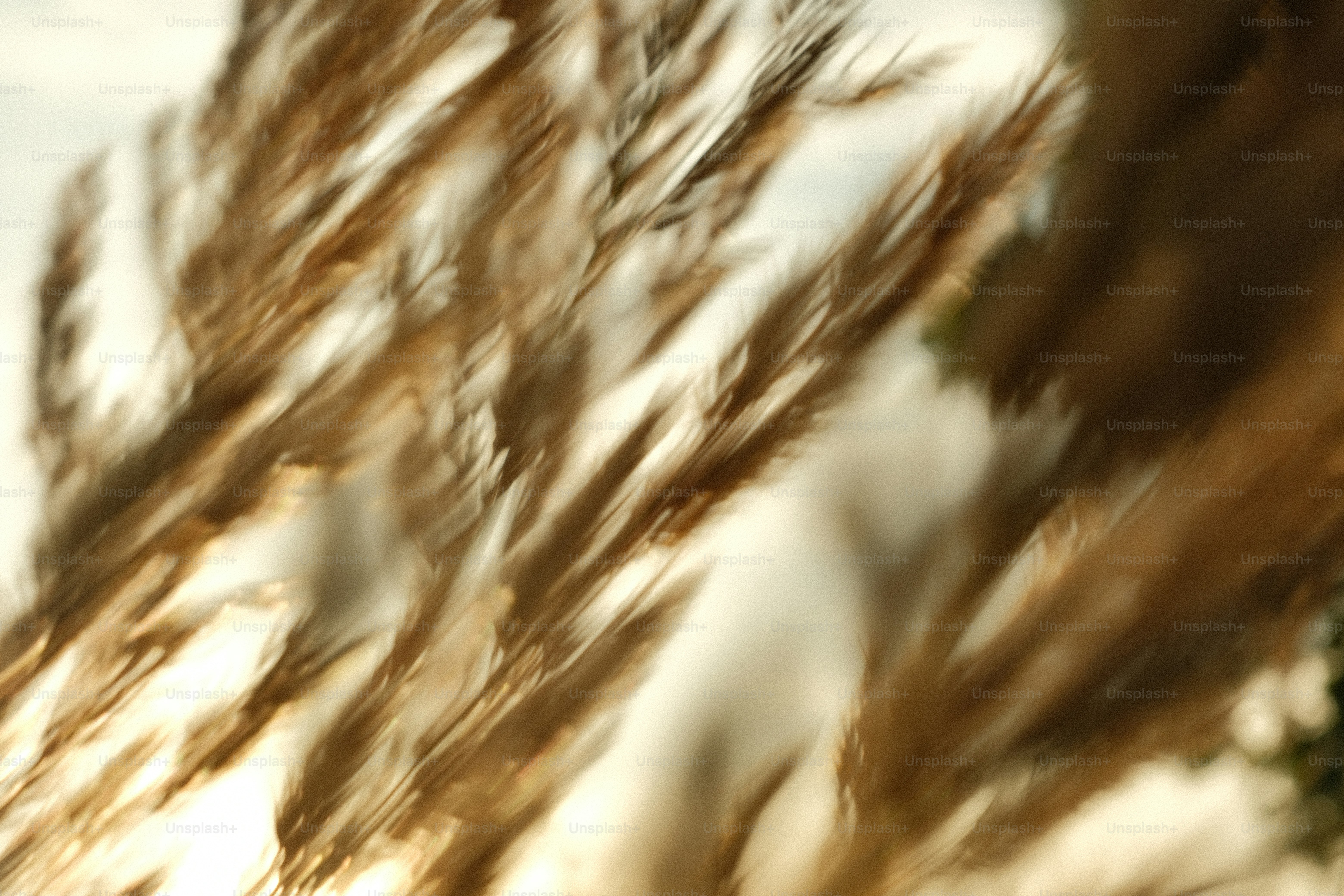 premium_photo-1764425842235-80695de4216d?ixid=M3wxMjA3fDB8MXxzZWFyY2h8NXx8aGlnaHN0YWtlcyUyMHN3ZWVwc3xlbnwwfHx8fDE3NjUwNTE0MTF8MA\u0026ixlib=rb-4.1.0