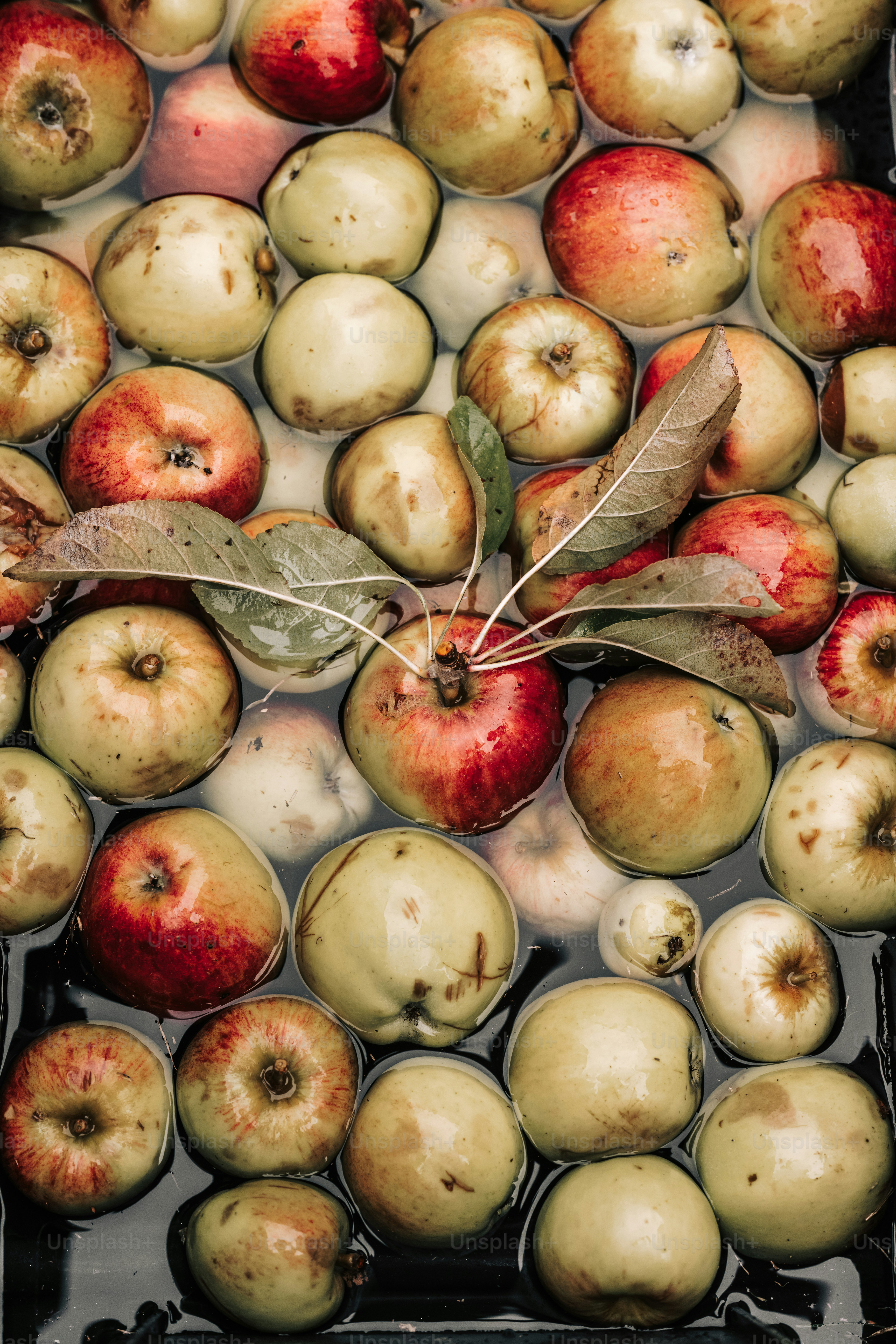 A collection of fresh apples floating in water
