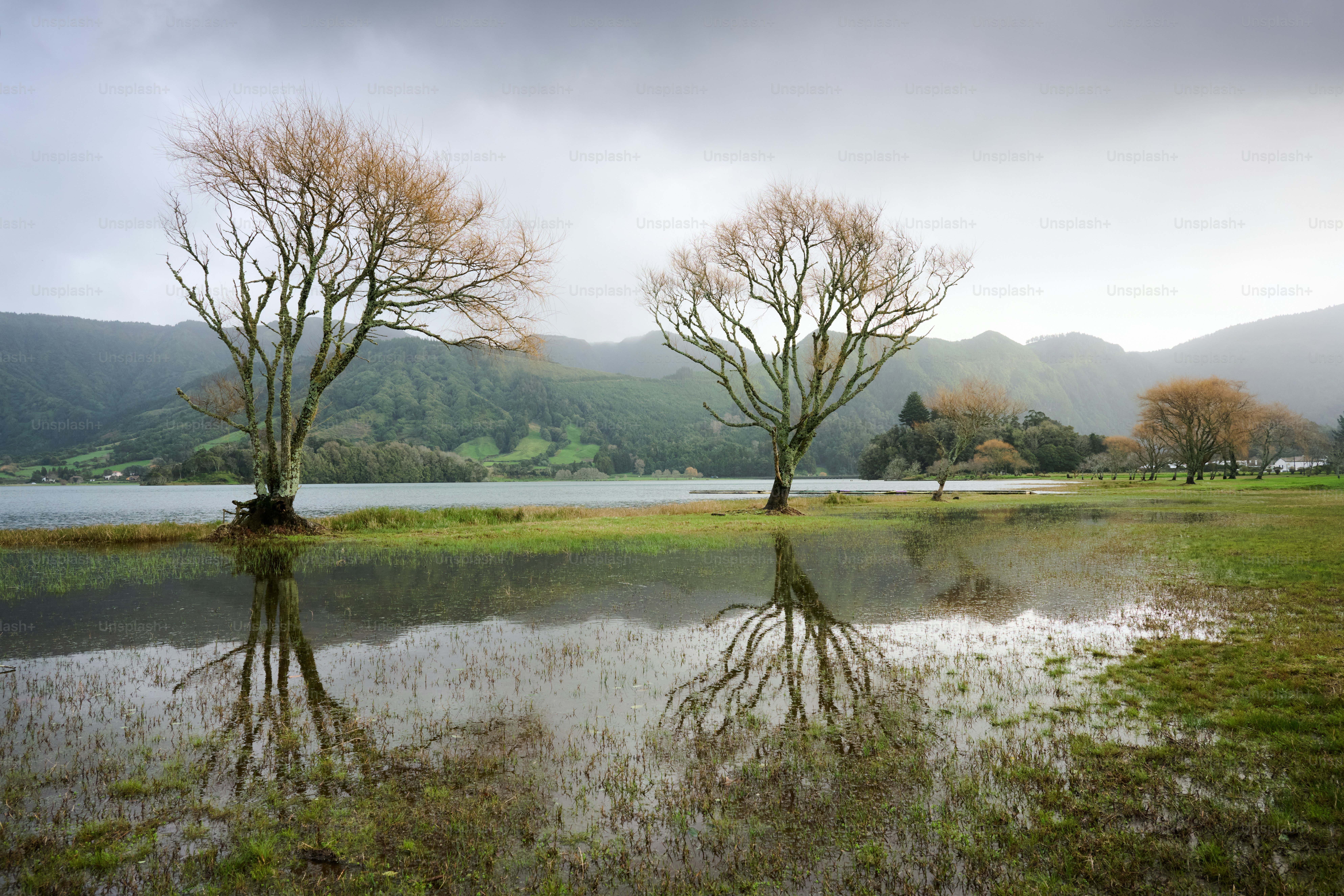 Kahle Bäume spiegeln sich in einem überfluteten Grasfeld.