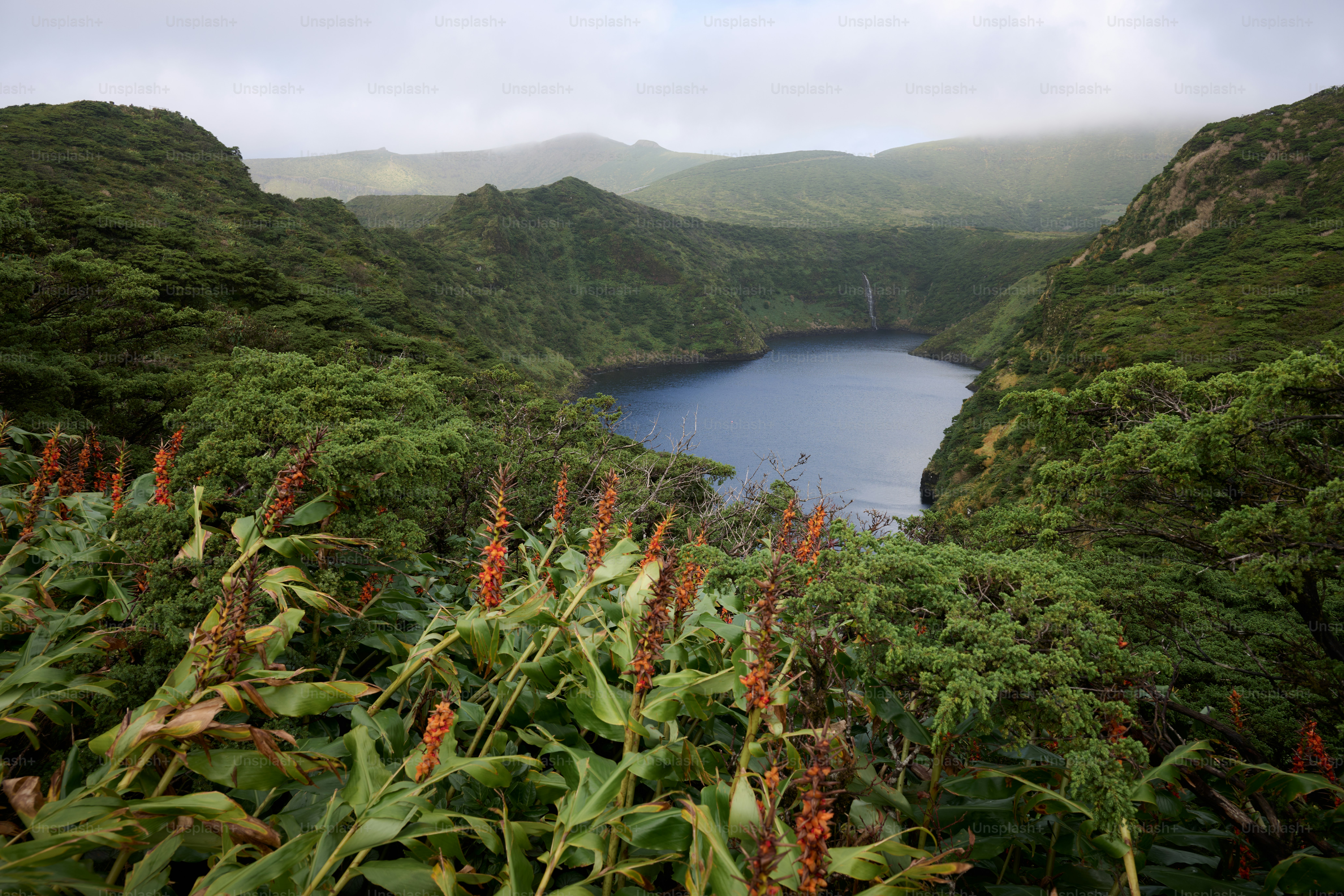 Lush green crater lake surrounded by dense foliage