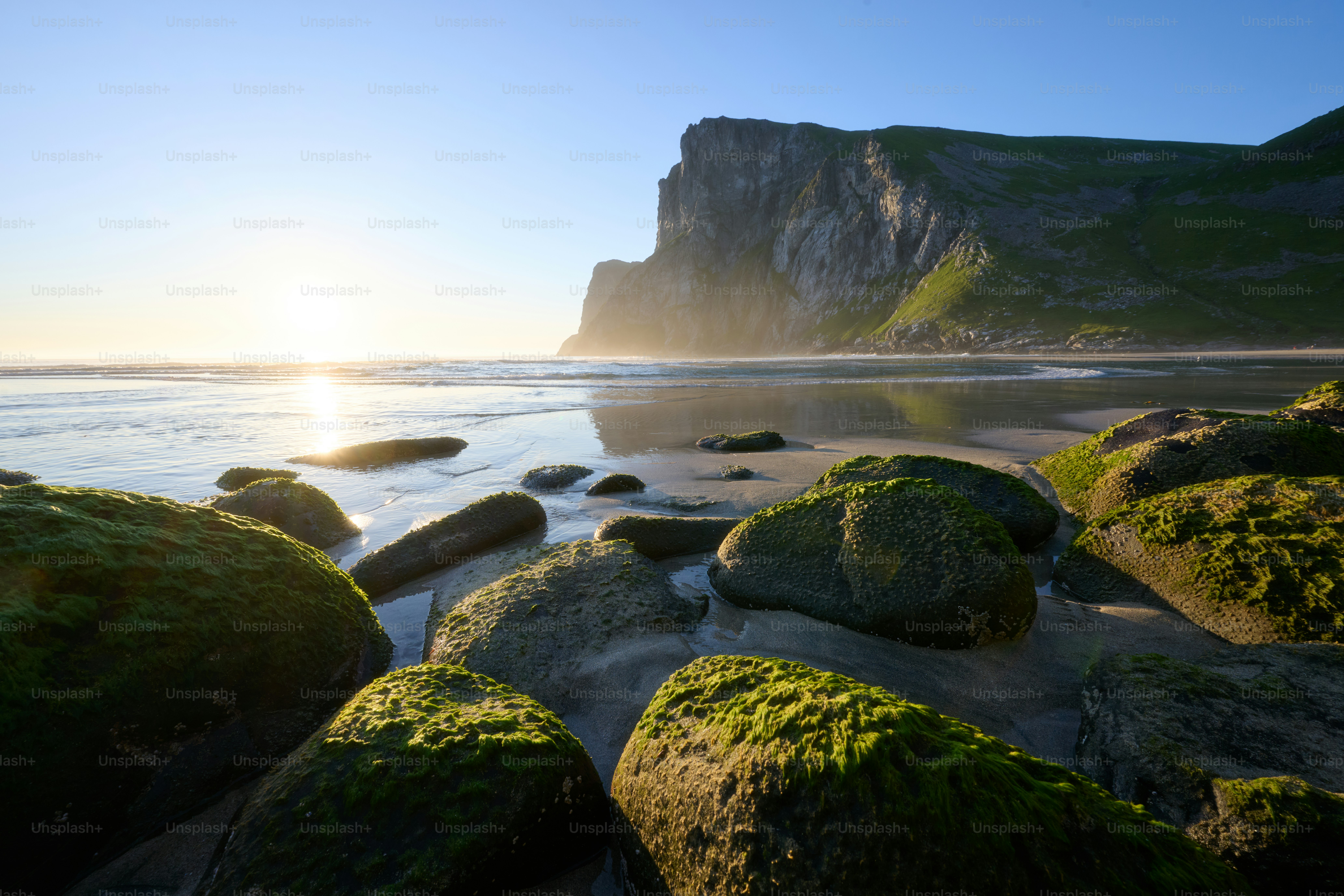 Sunlight reflects on a wet sandy beach with mossy rocks.