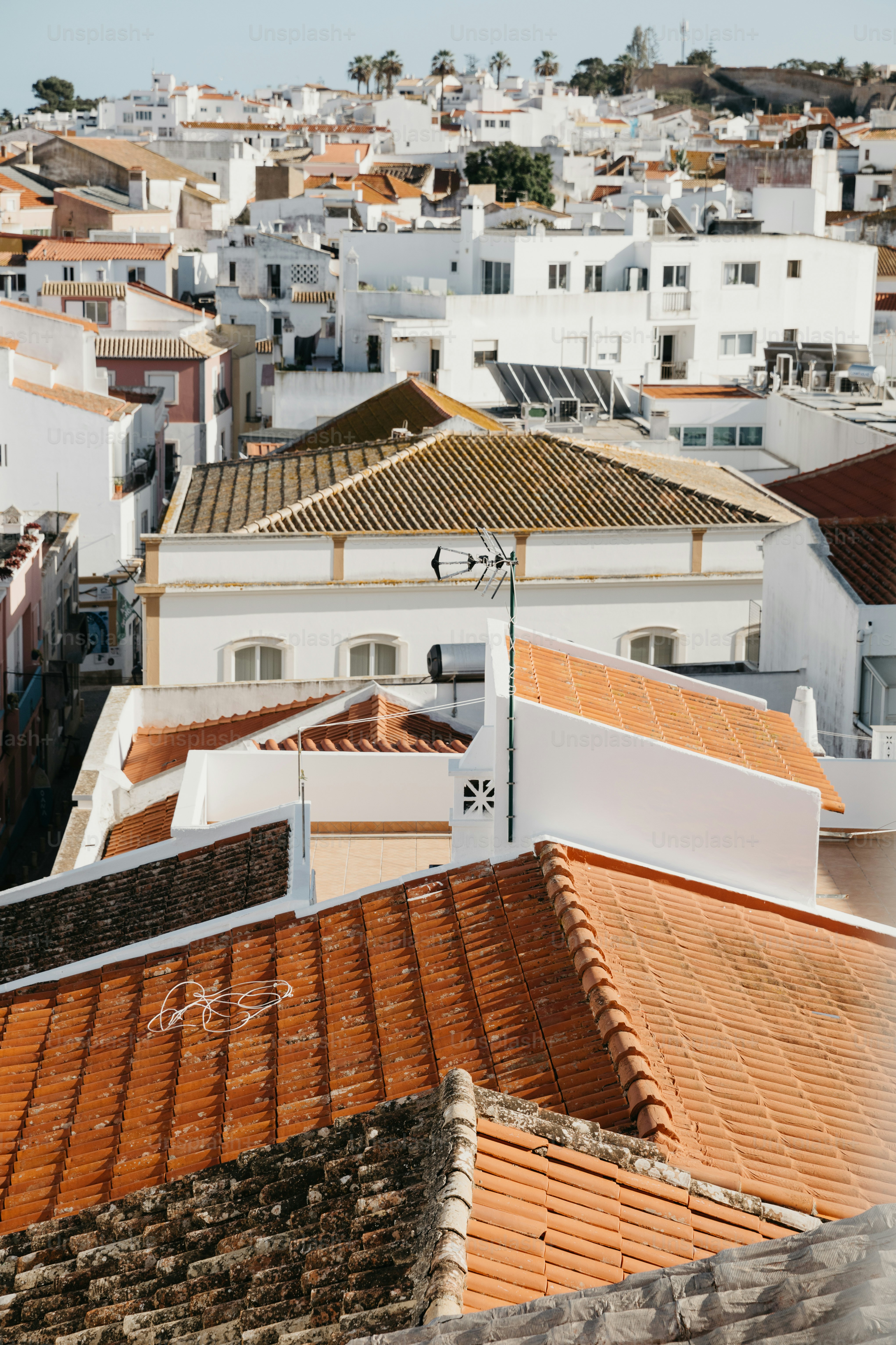 Dächer weißer Gebäude in einer sonnigen Küstenstadt.