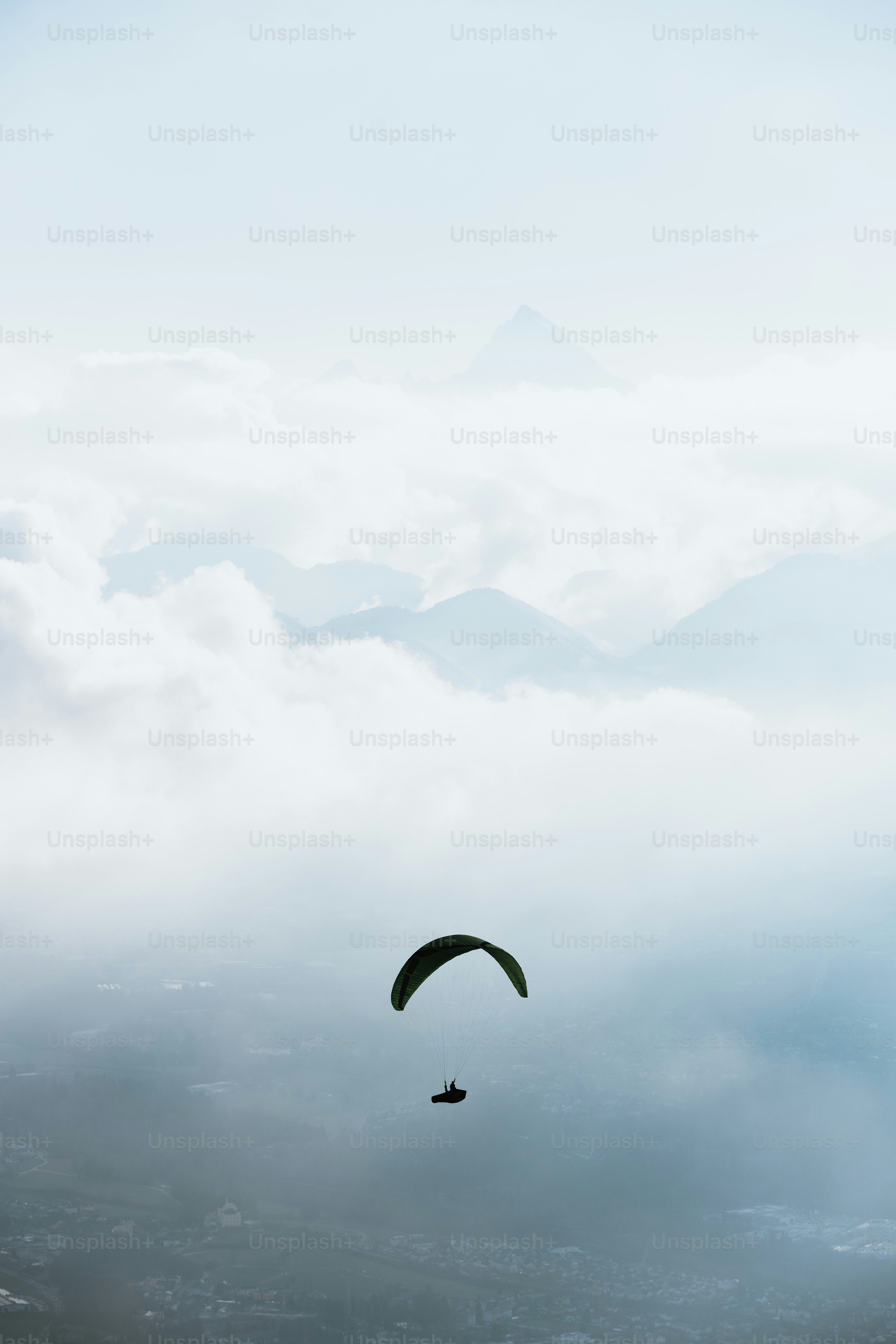 Whale tail emerging from the ocean near mountains photo – Animal Image ...