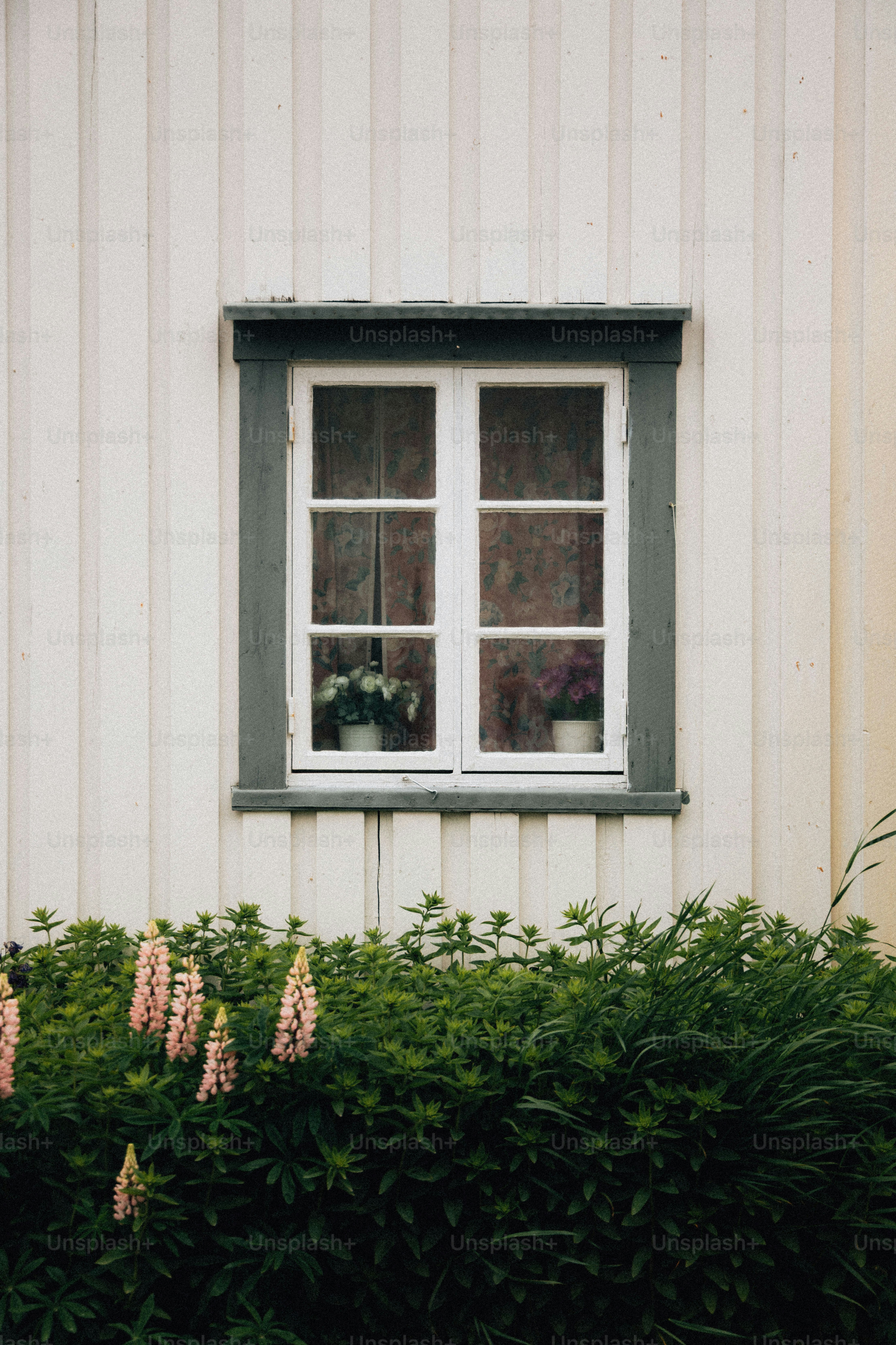 White paneled wall with a window and flowers
