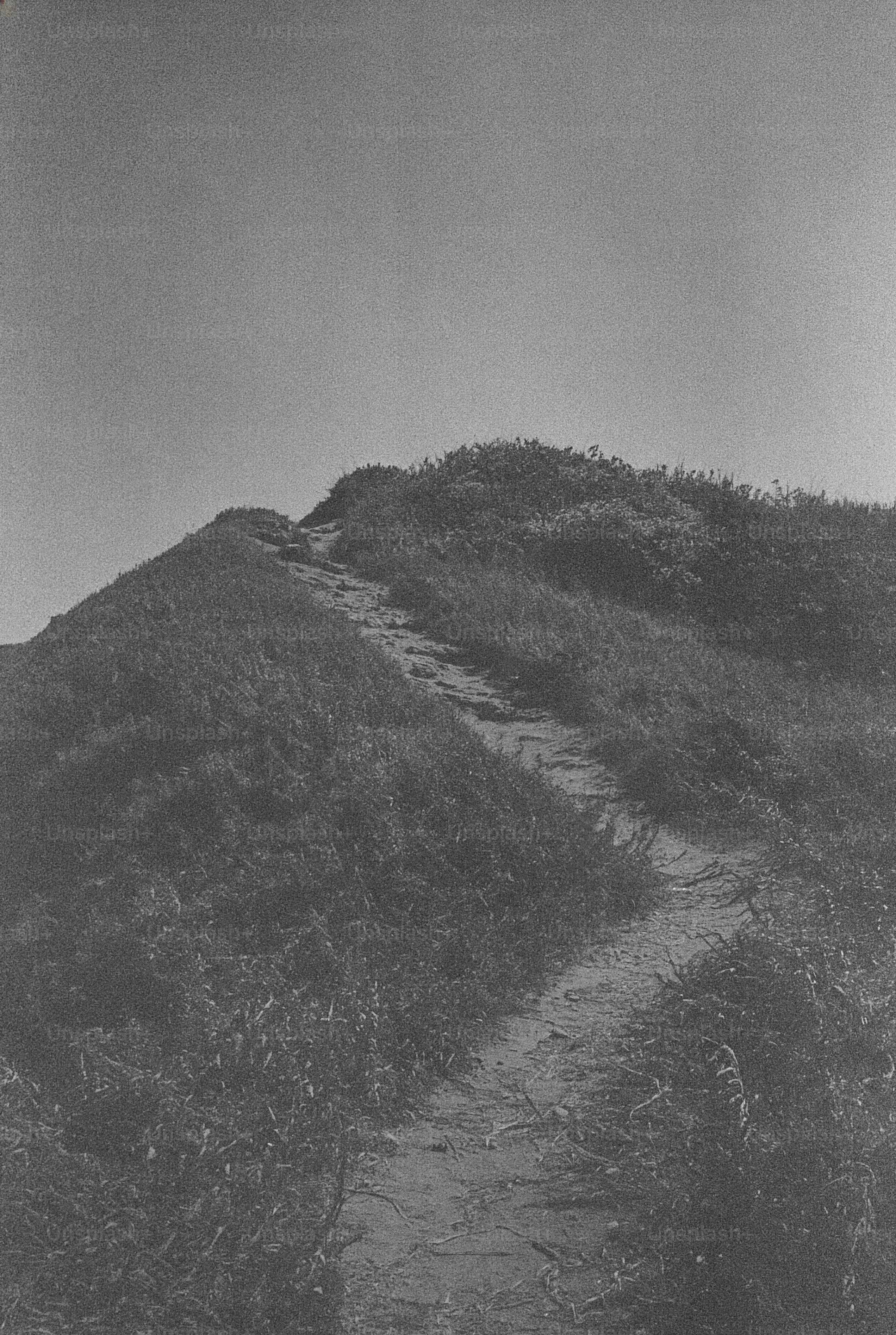 A winding path leads up a grassy hill.