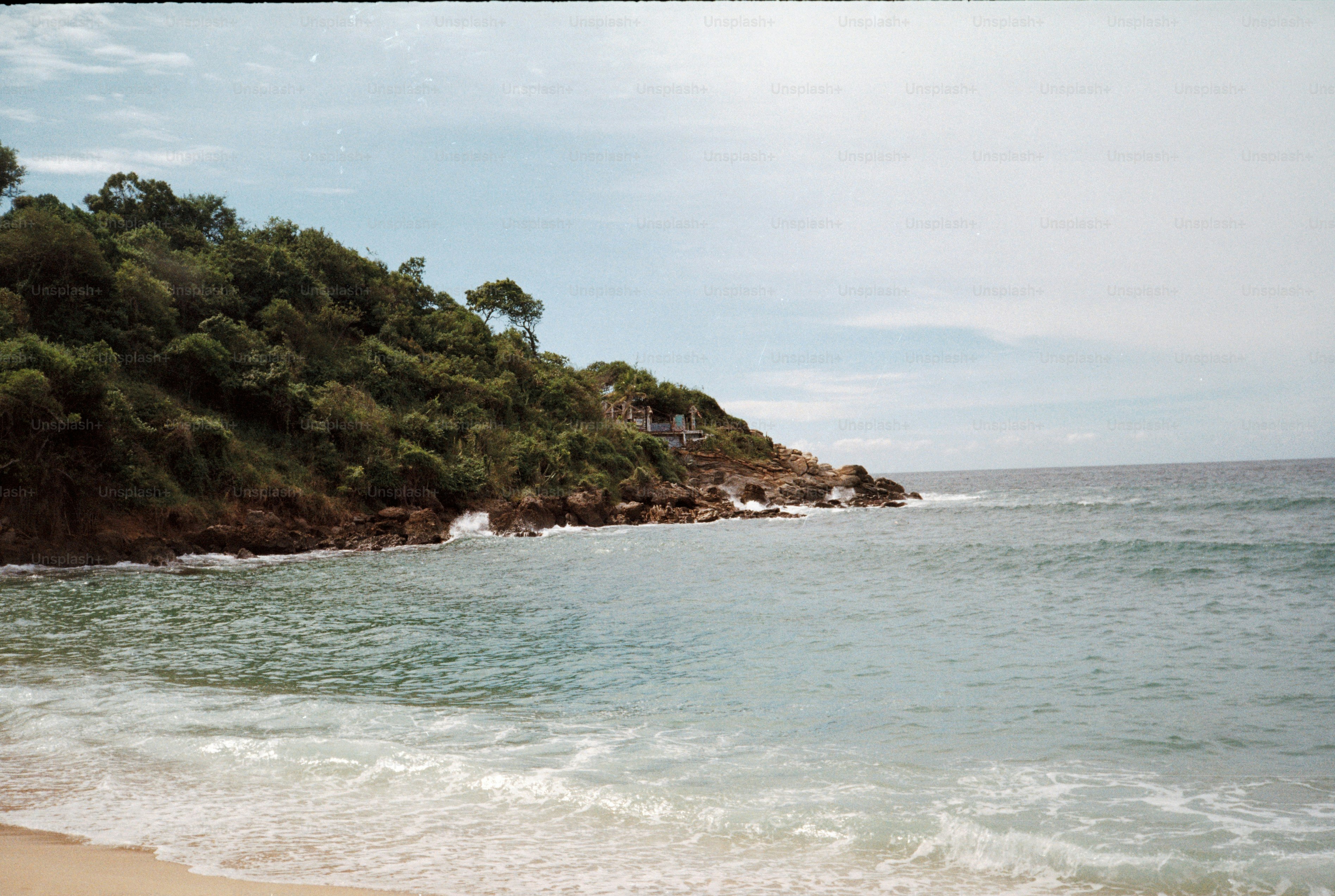 Tropical island coastline with lush green trees and ocean waves.