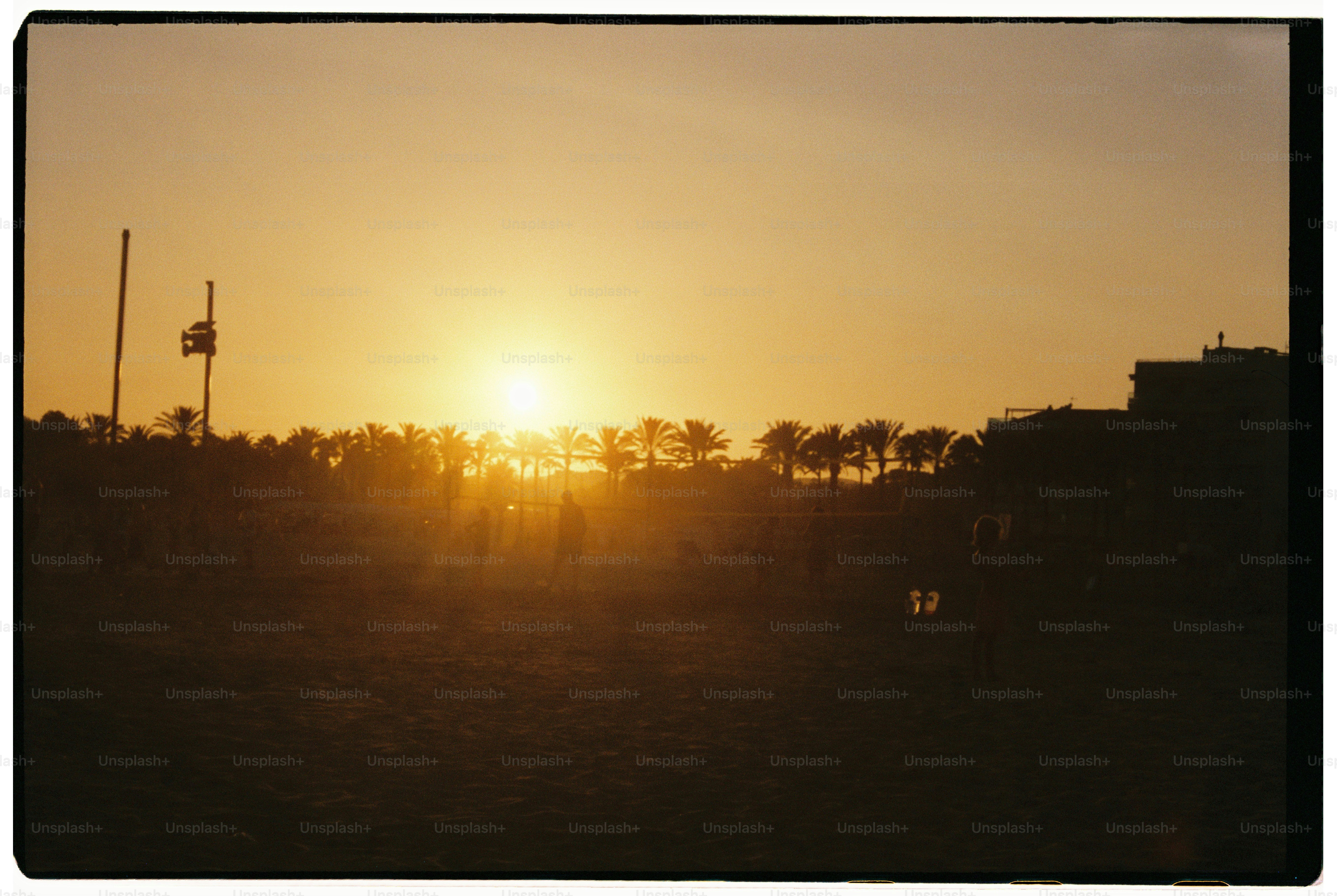 Coucher de soleil sur un paysage en silhouette avec des palmiers.