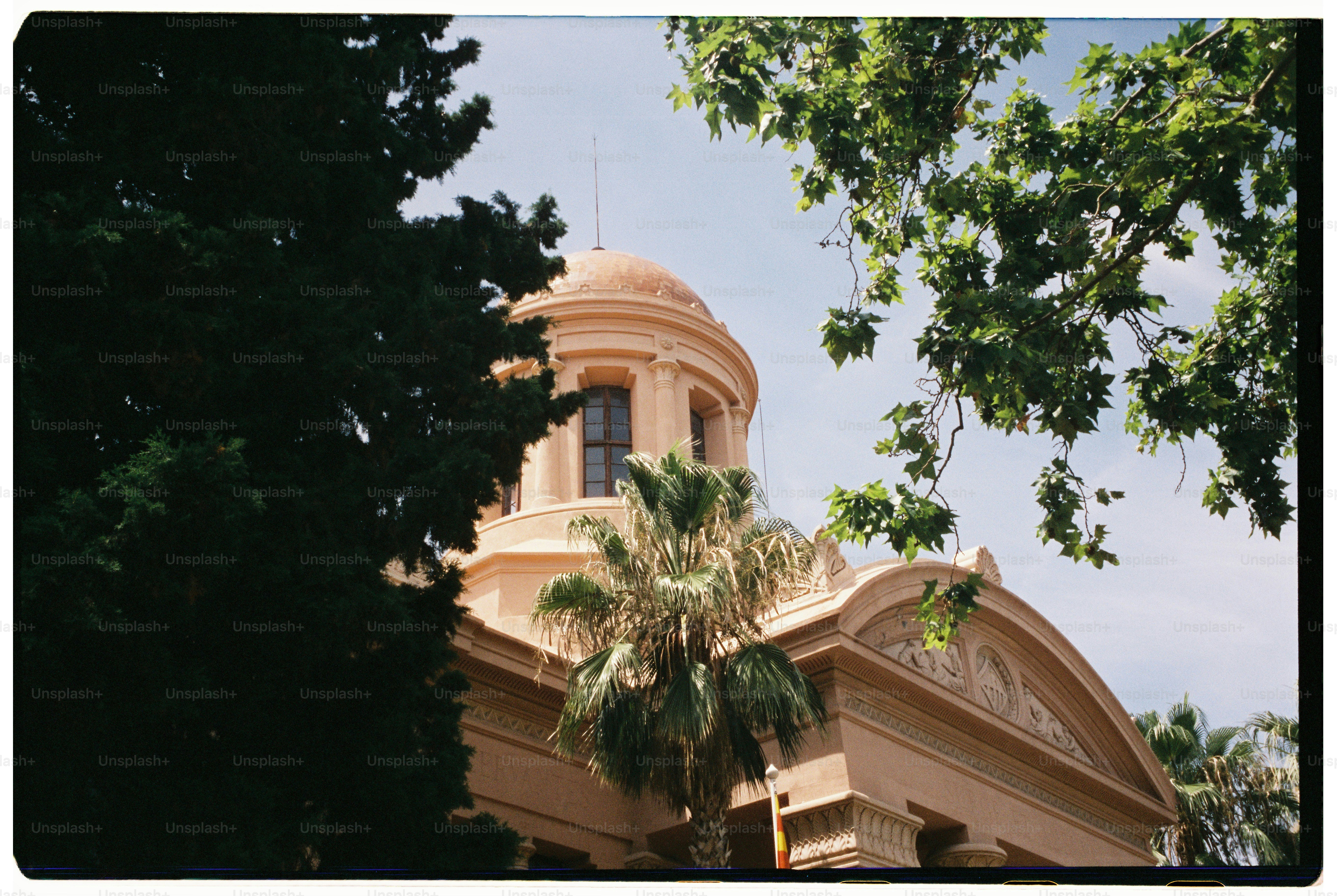 Bâtiment avec dôme et palmiers encadrés de feuillage
