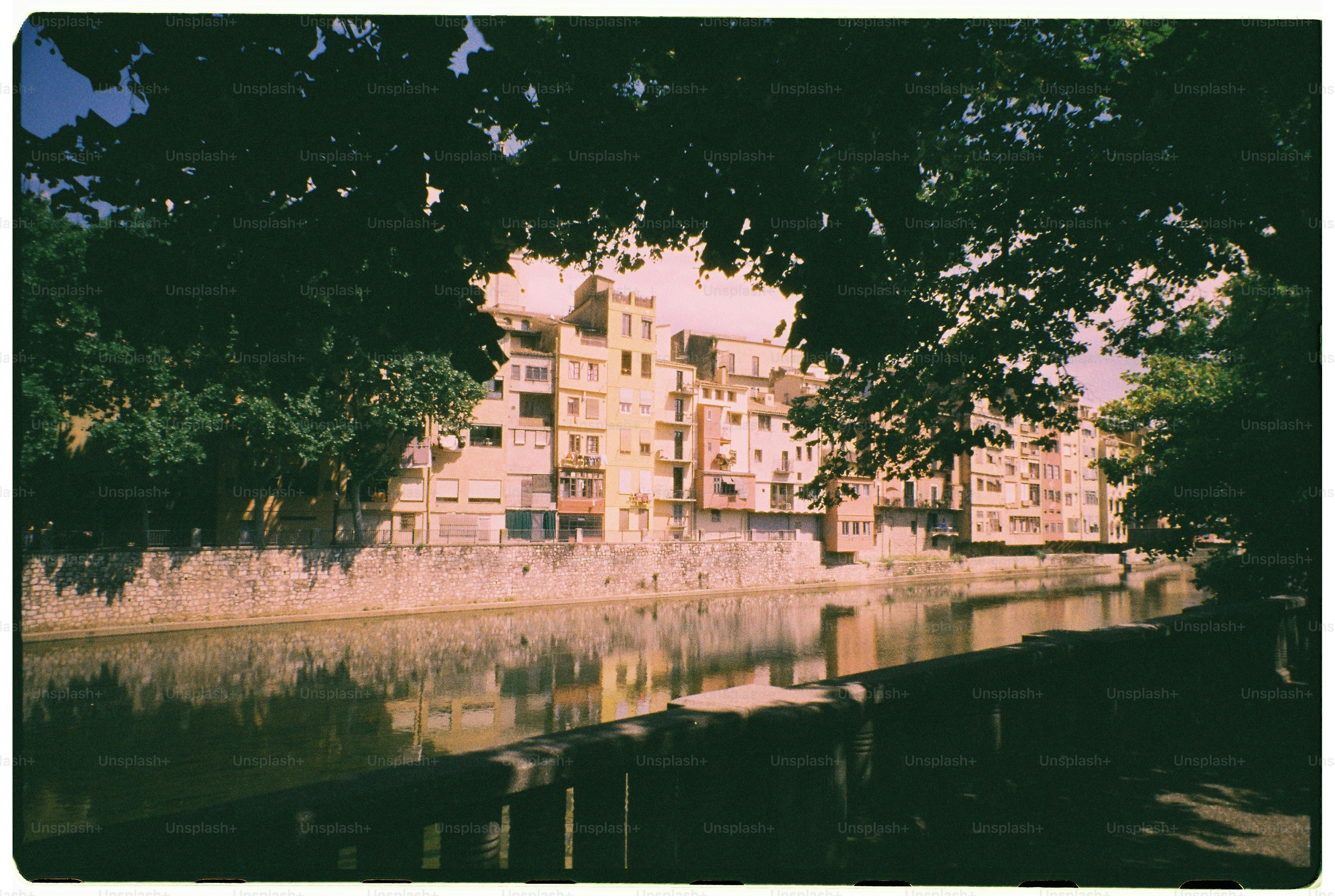 Des bâtiments bordent une rivière avec des arbres au premier plan.