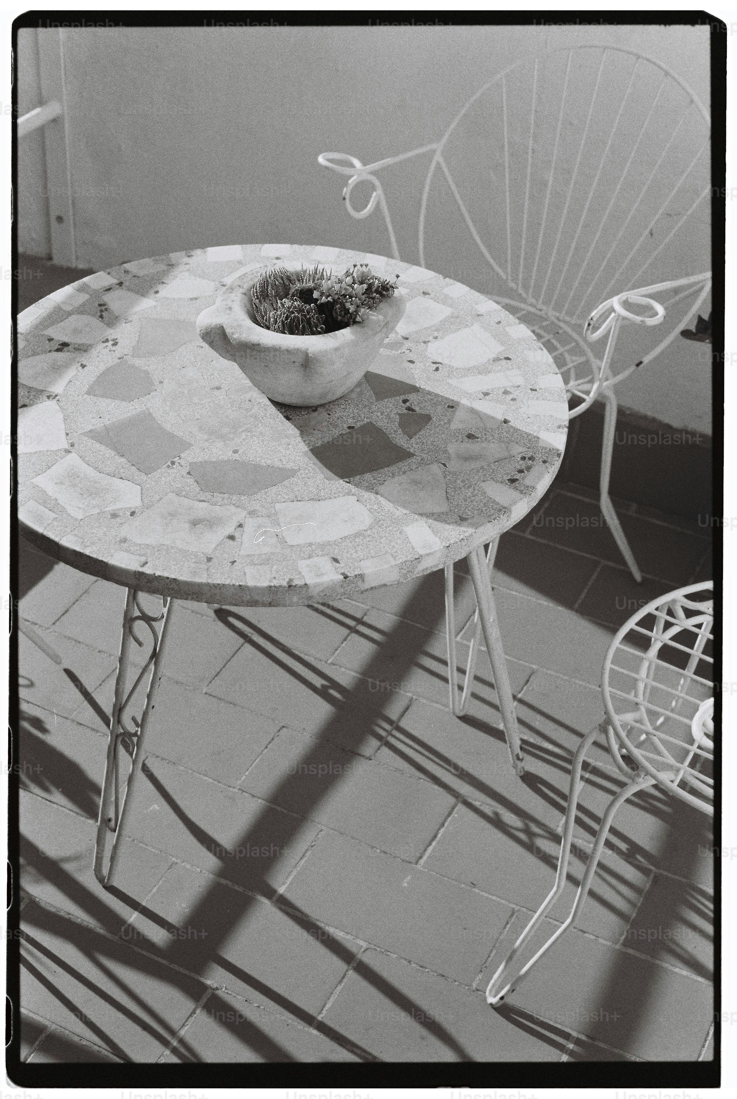 Table et chaises extérieures avec plante dans la cuvette