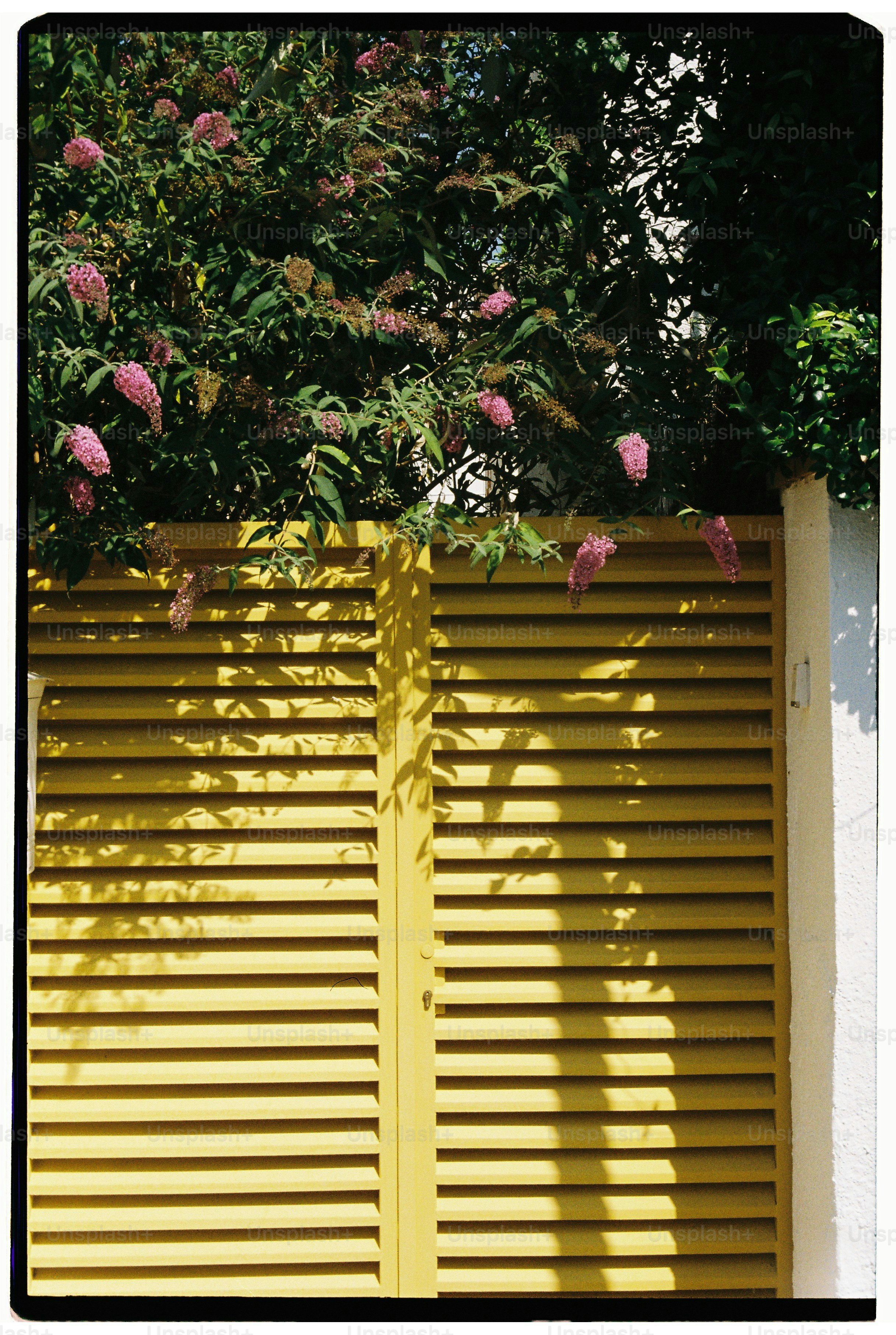 Yellow louvered doors with pink flowers above