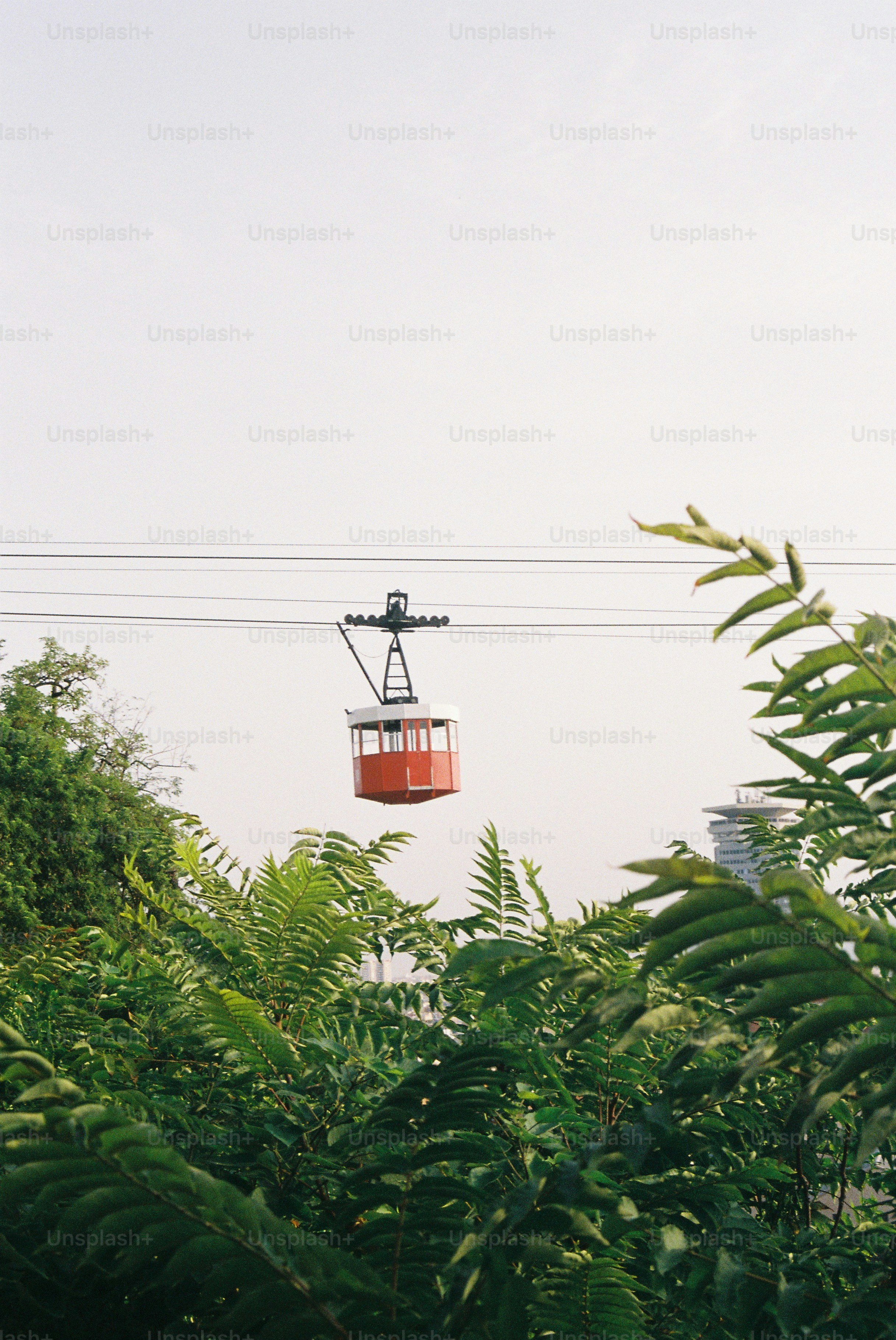 Red cable car suspended between trees against a hazy sky.