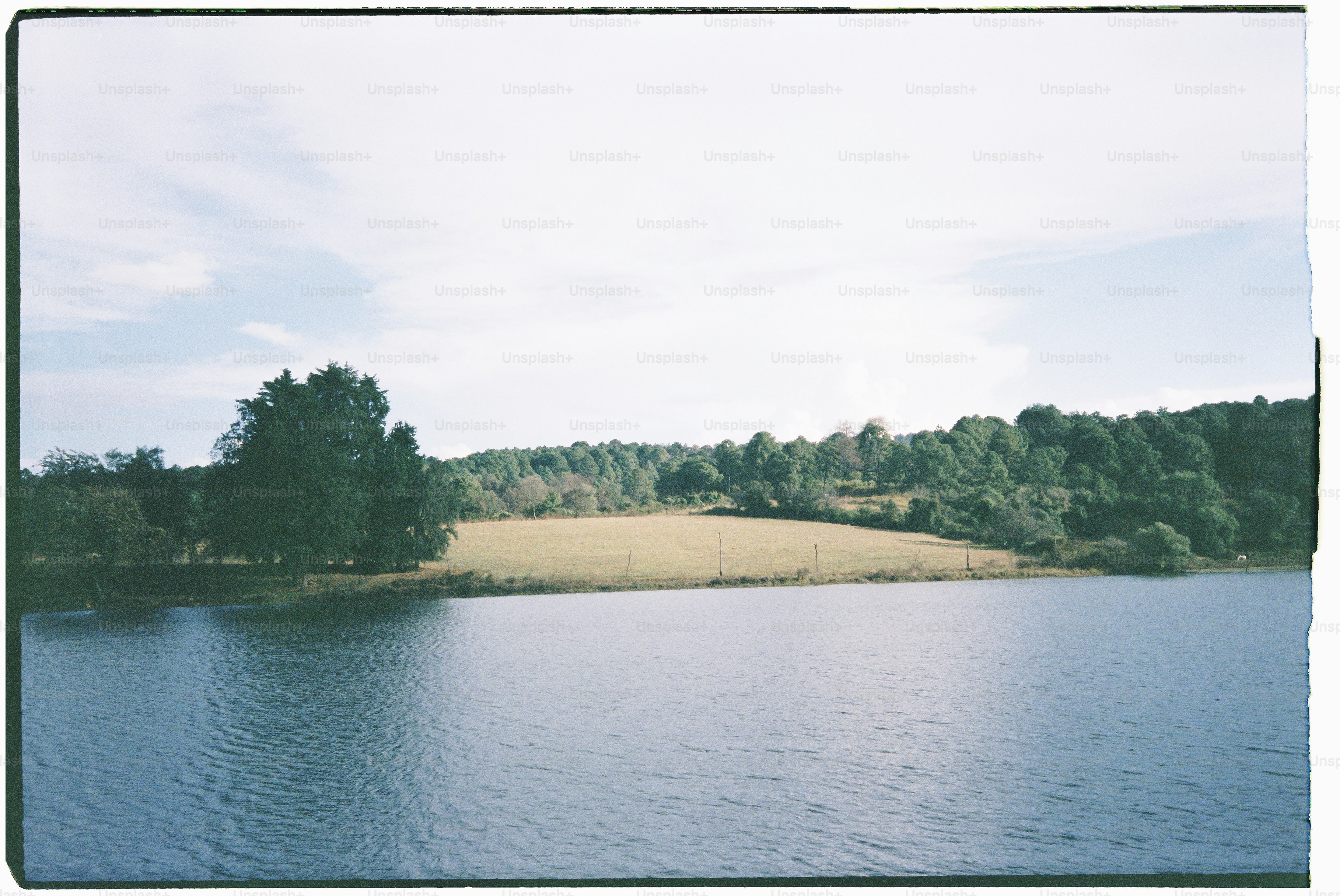 Calm lake with green trees and a field