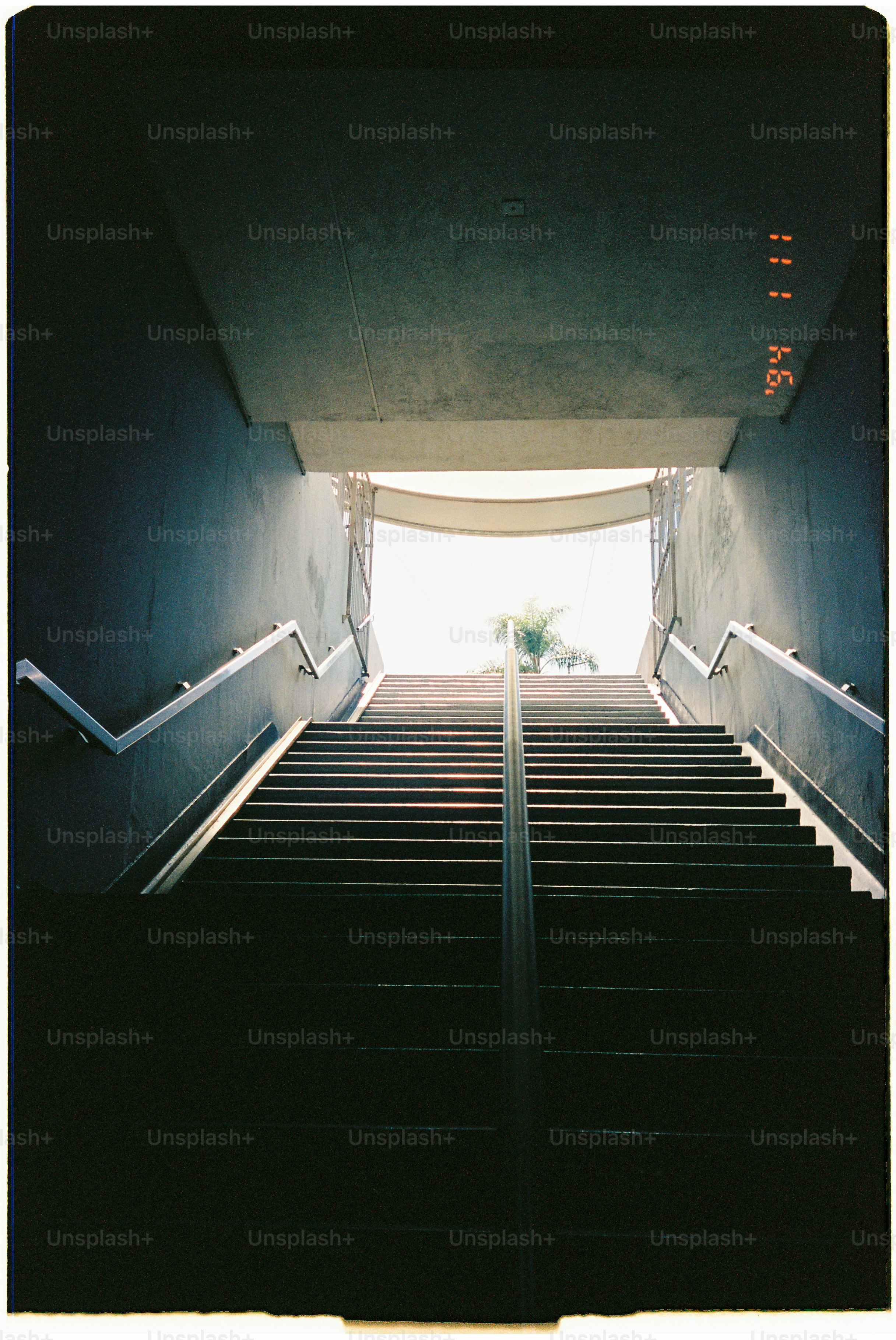 Staircase leading to bright light with palm tree.