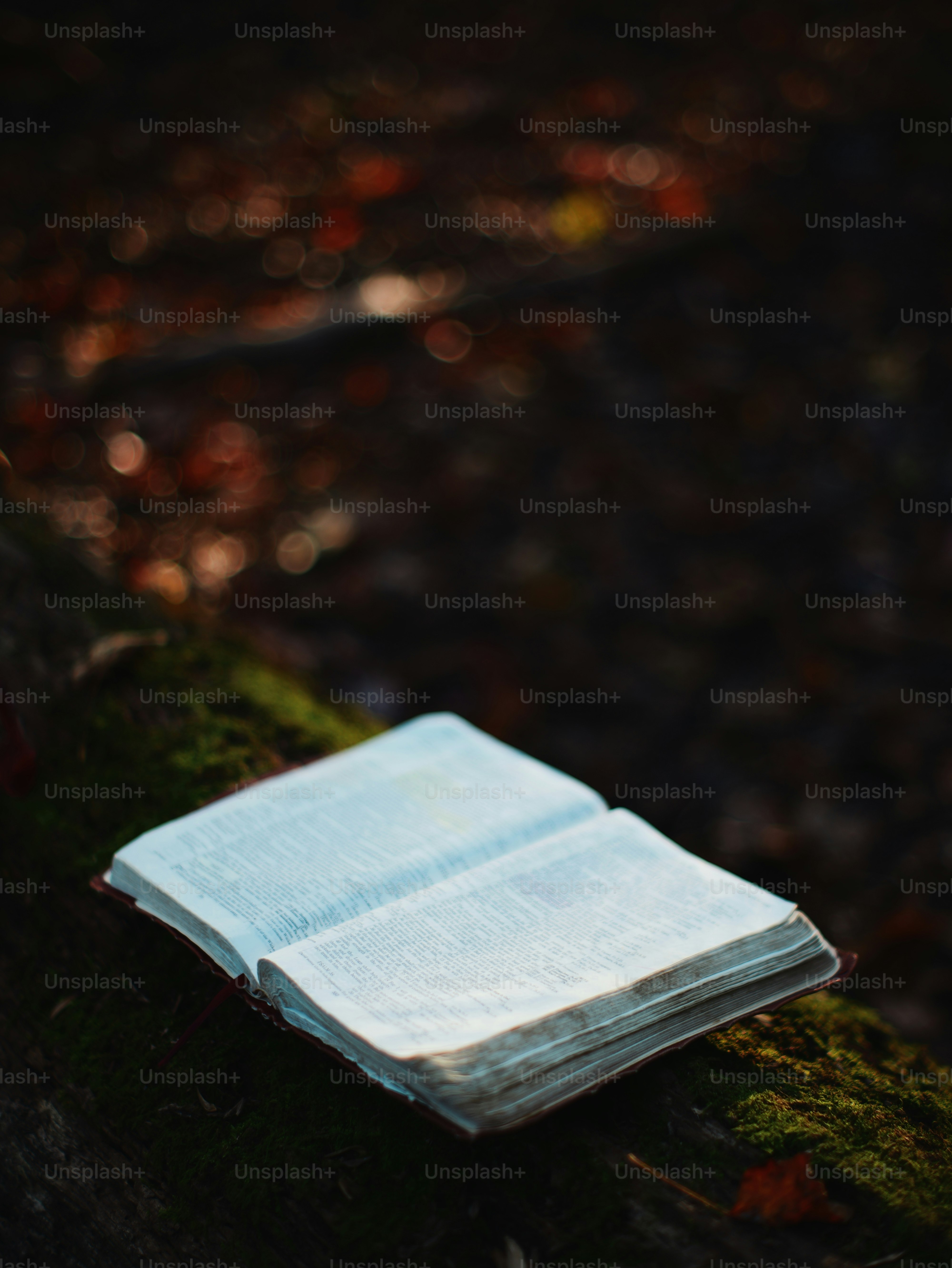 An open book rests on a mossy log.