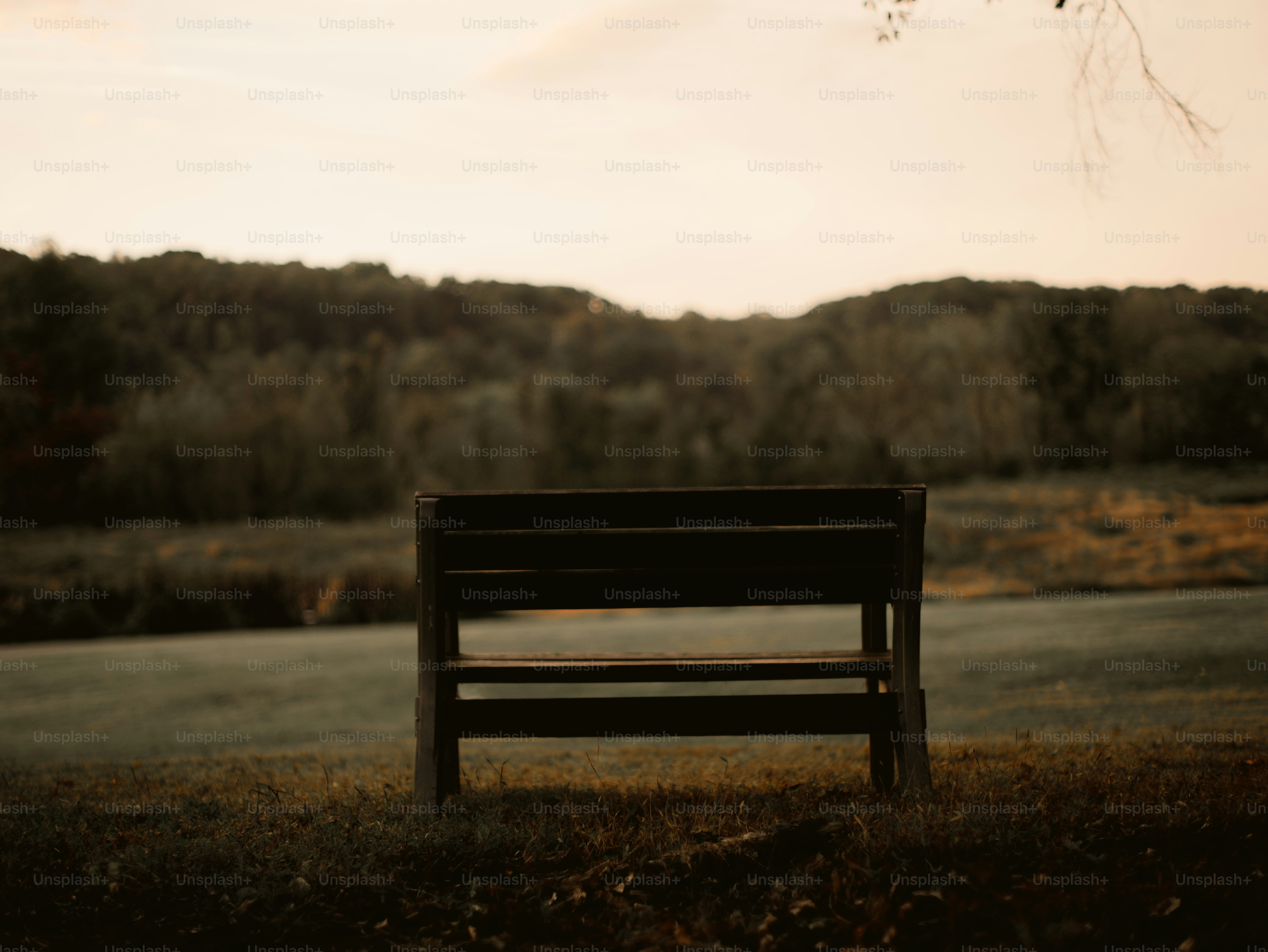 A lone bench in a park at sunrise photo – Image on Unsplash