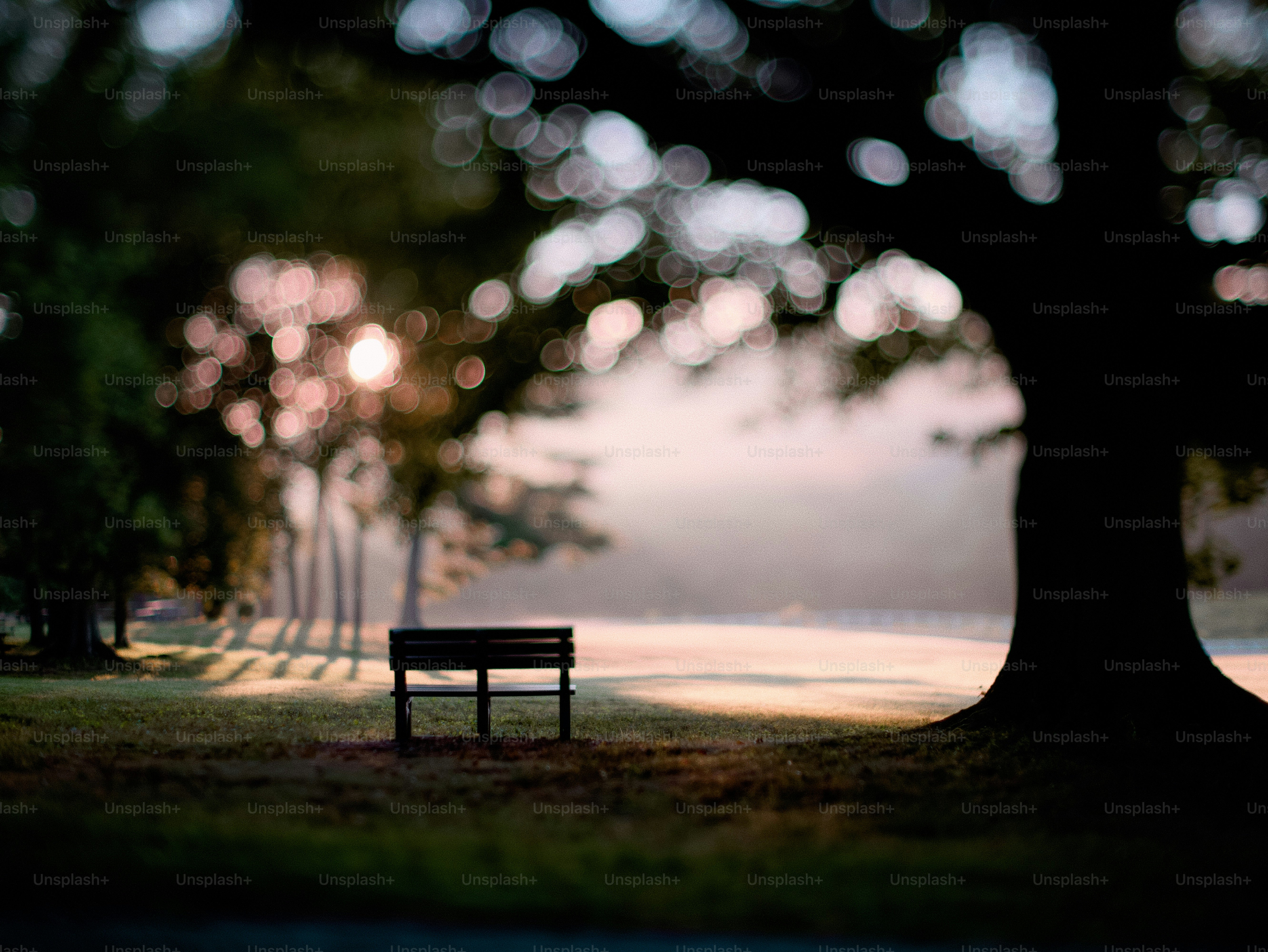 Un banc solitaire dans un parc au lever du soleil