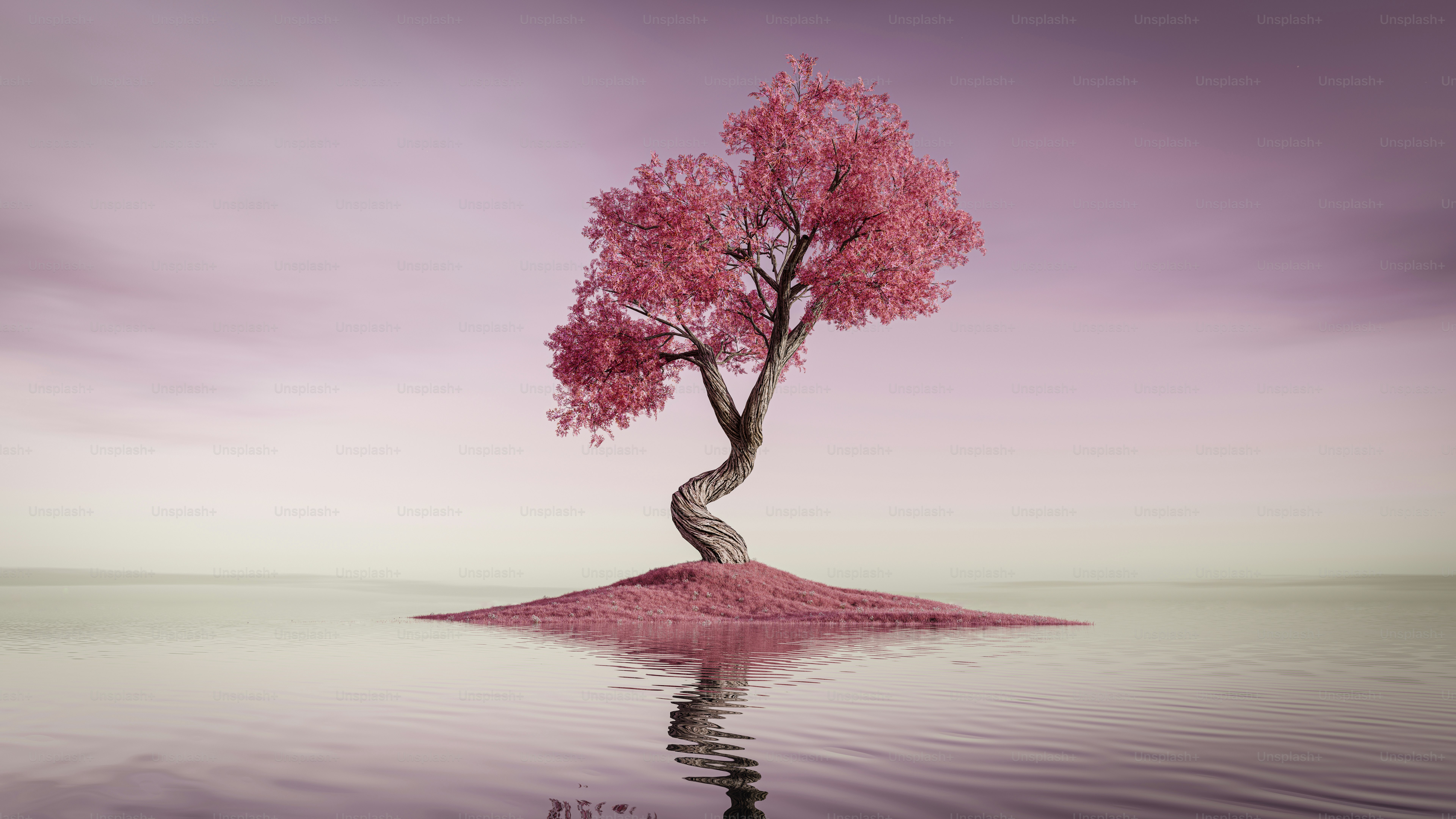 A solitary pink tree on a small island.