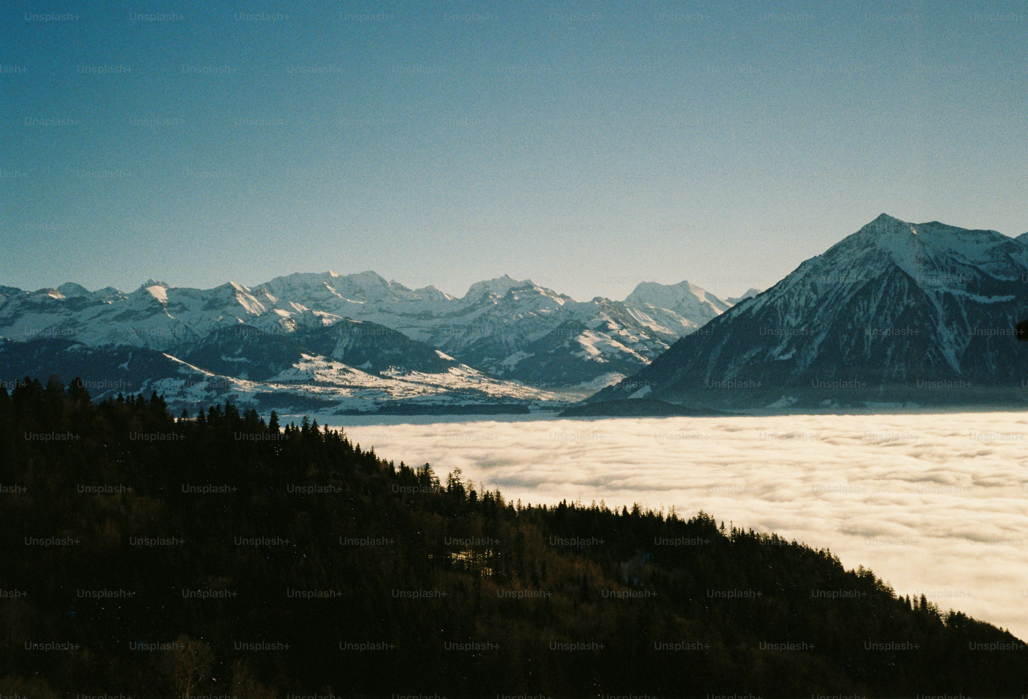 Des montagnes enneigées au-dessus d’une mer de nuages