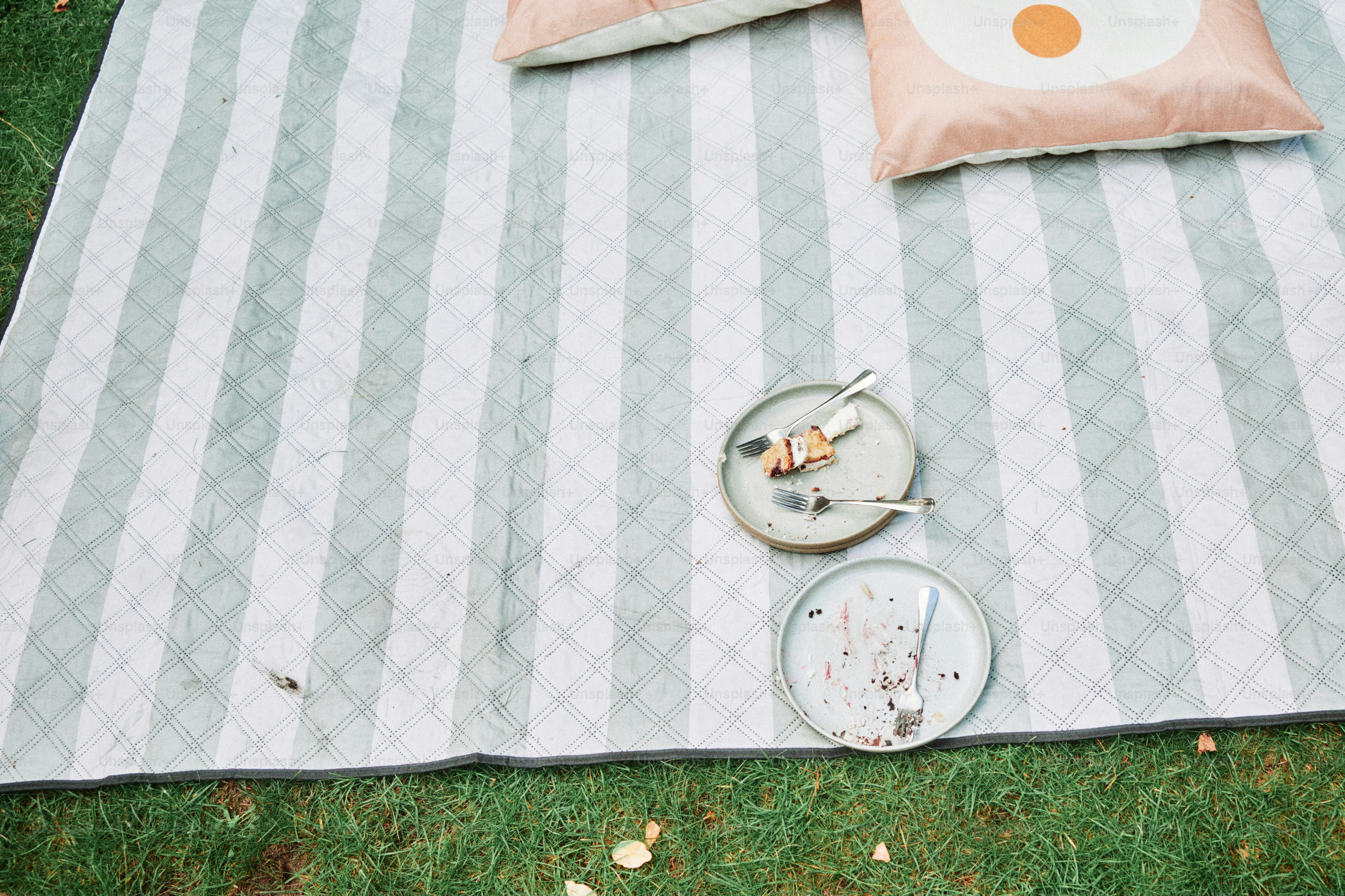Couverture de pique-avec de la nourriture et des oreillers sur l’herbe