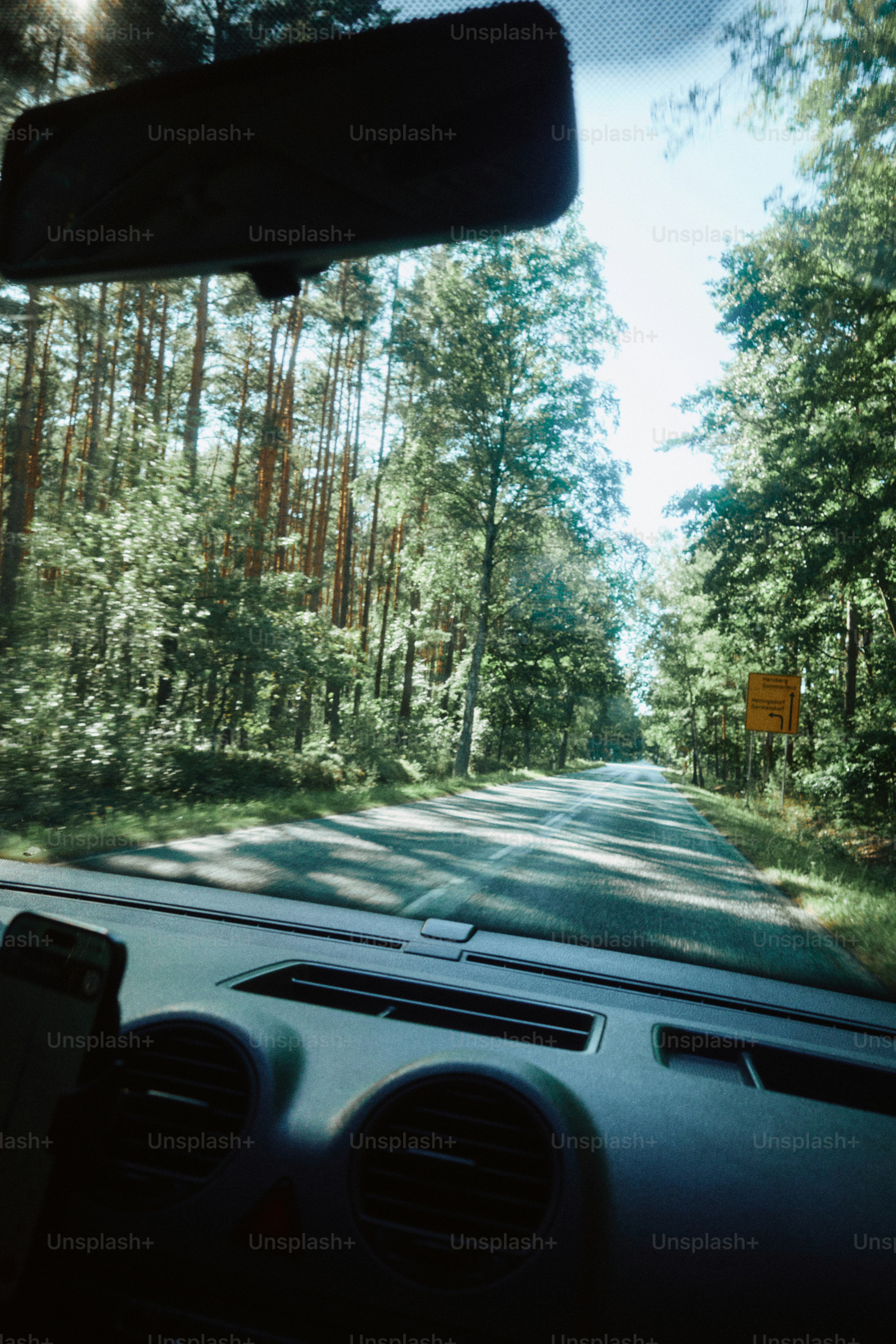 Conduire sur une route à travers une forêt dense