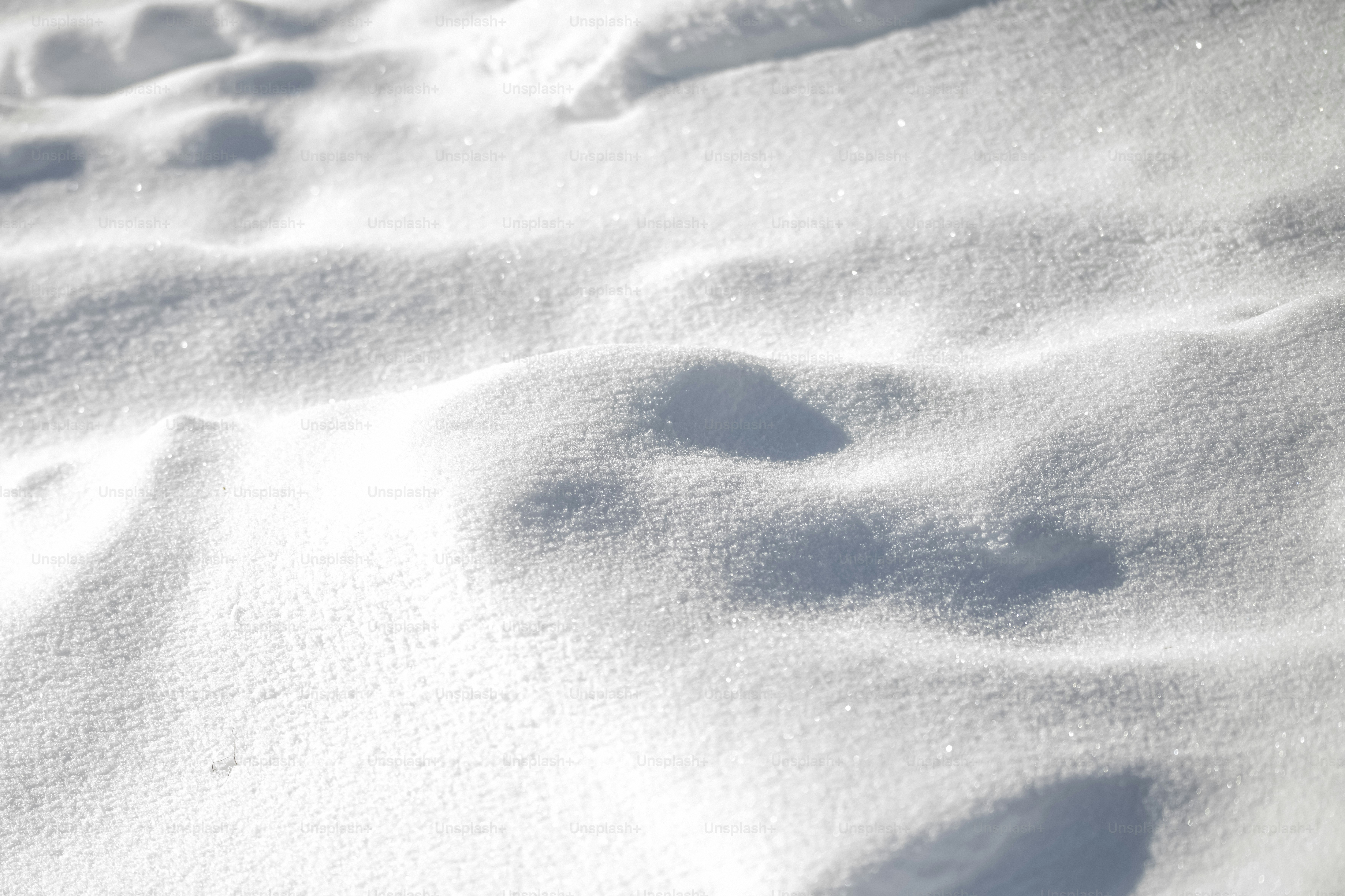 눈 속의 동물 발자국 사진 – Unsplash의 무료 겨울 이미지, image size:3000x2000