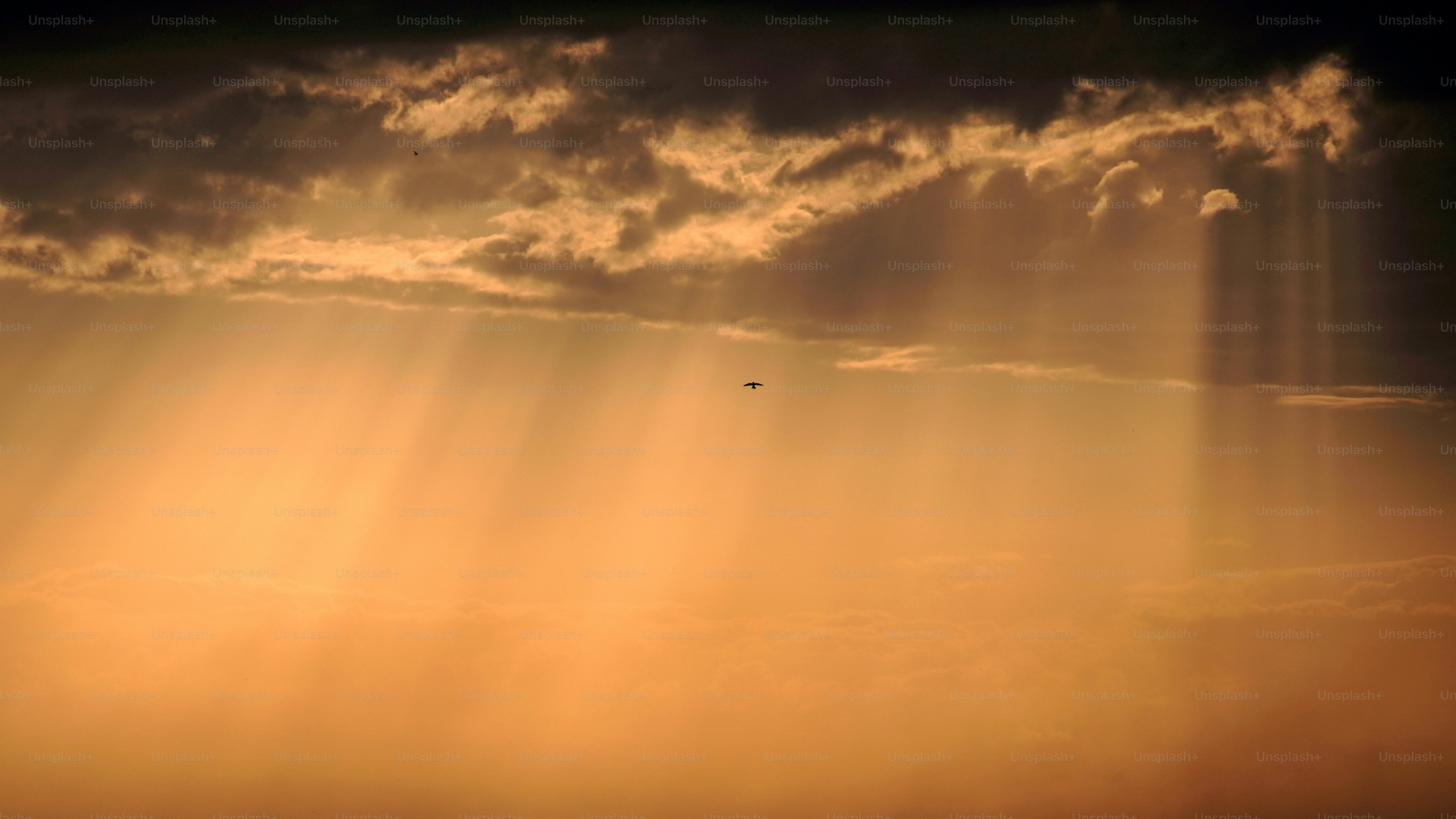 Sunbeams breaking through dramatic clouds at sunset