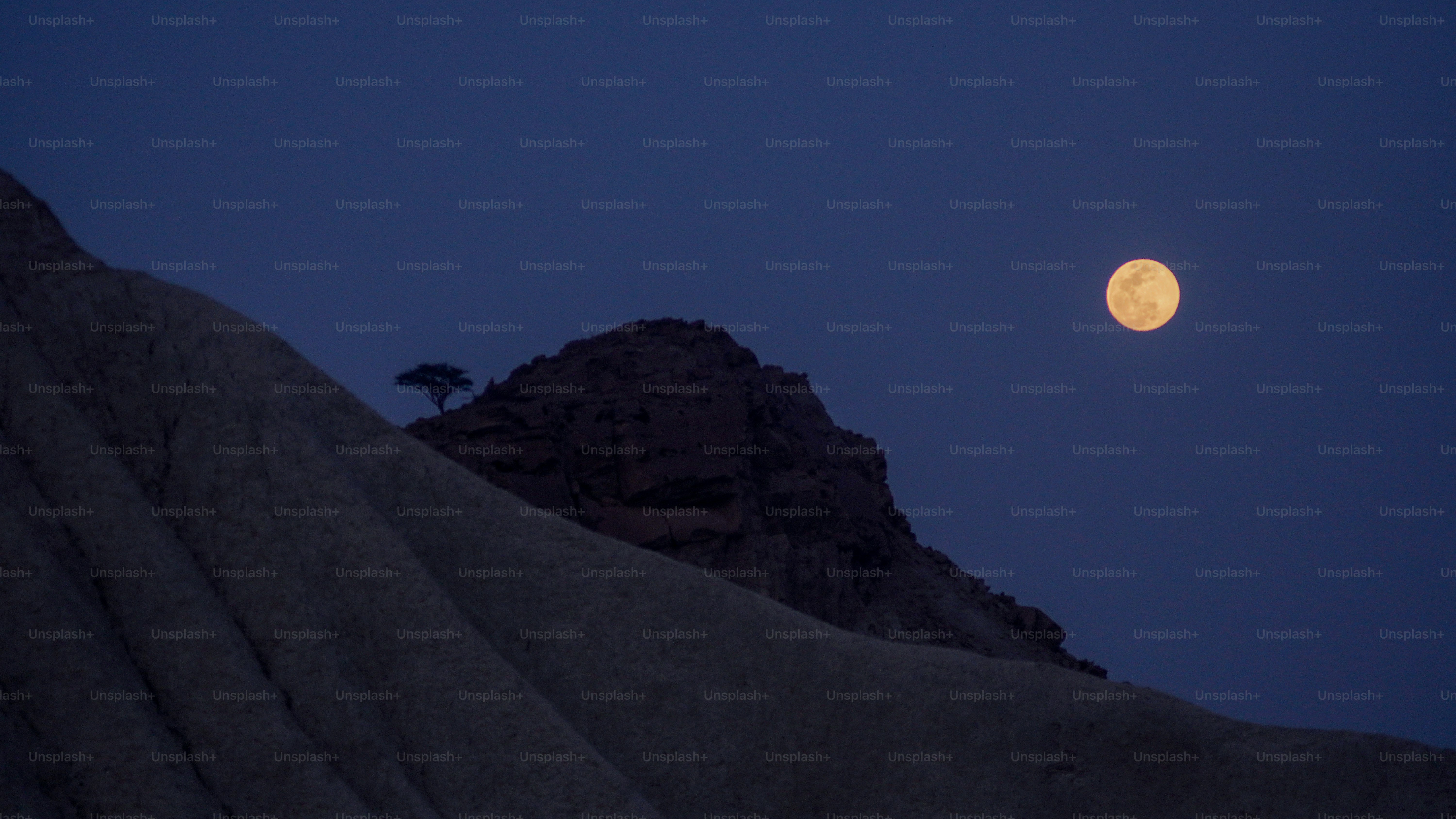 Full moon illuminates desert landscape at dusk.