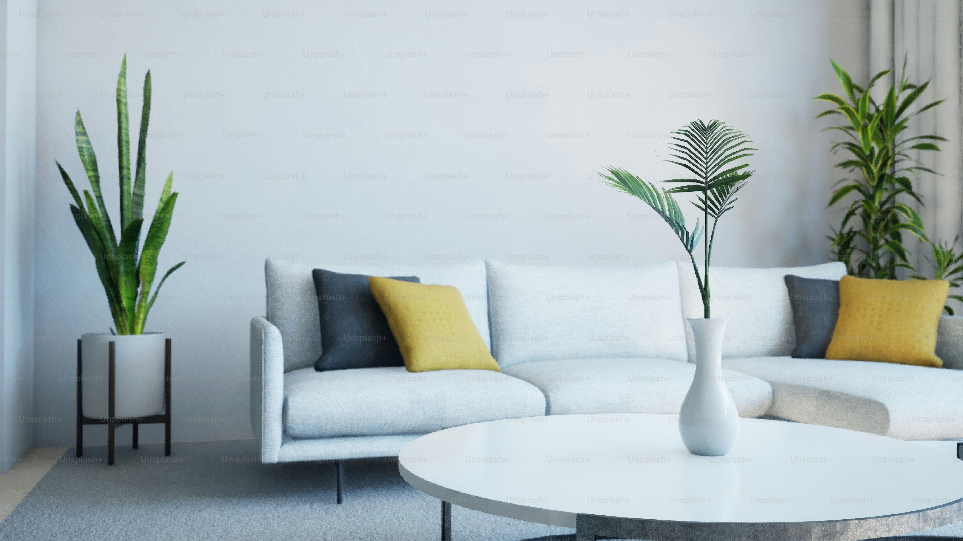 Modern living room with white sofa and plants