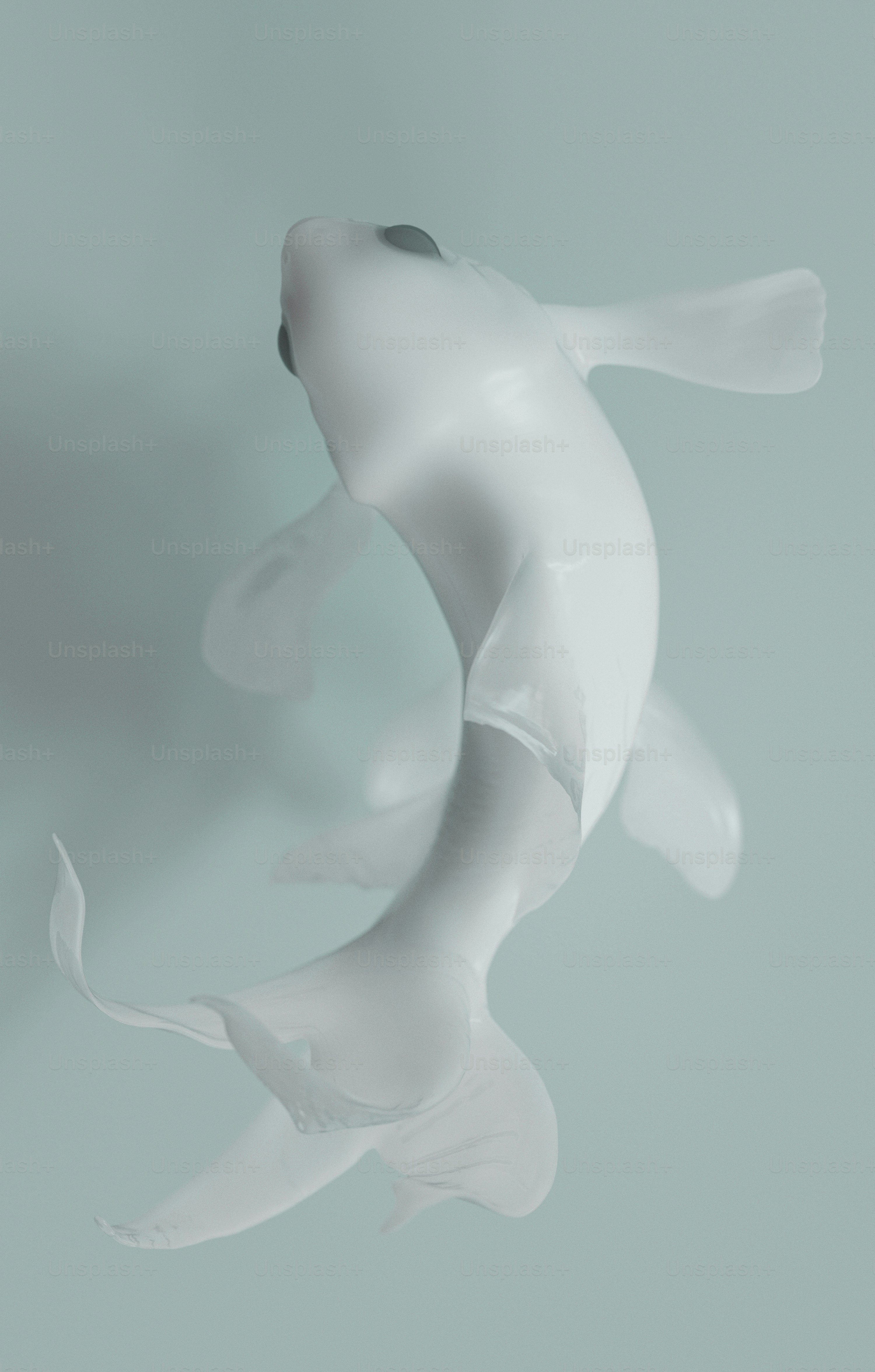 A minimalist white koi fish swims in pale blue water.