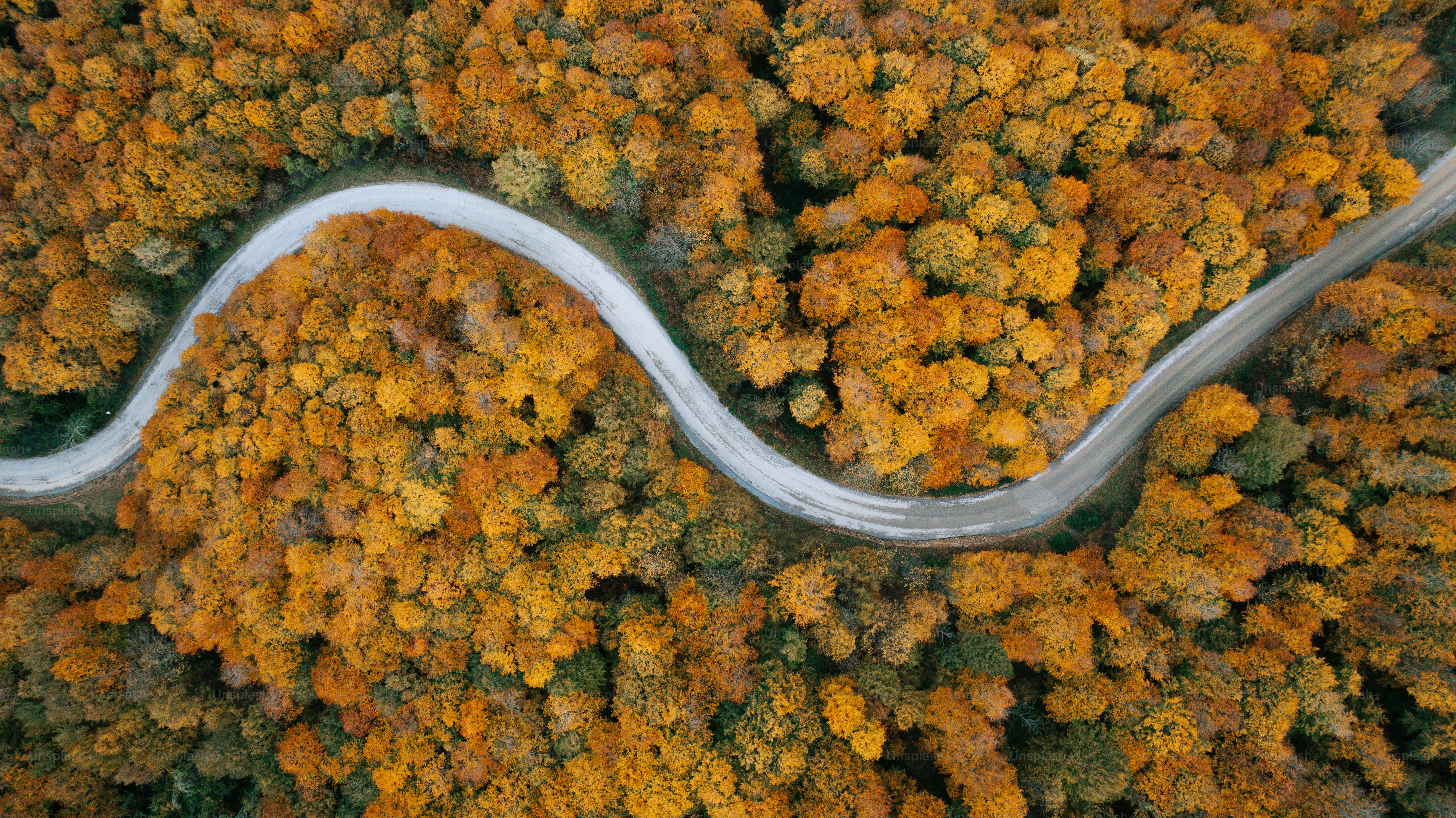 Winding road through autumn forest from above