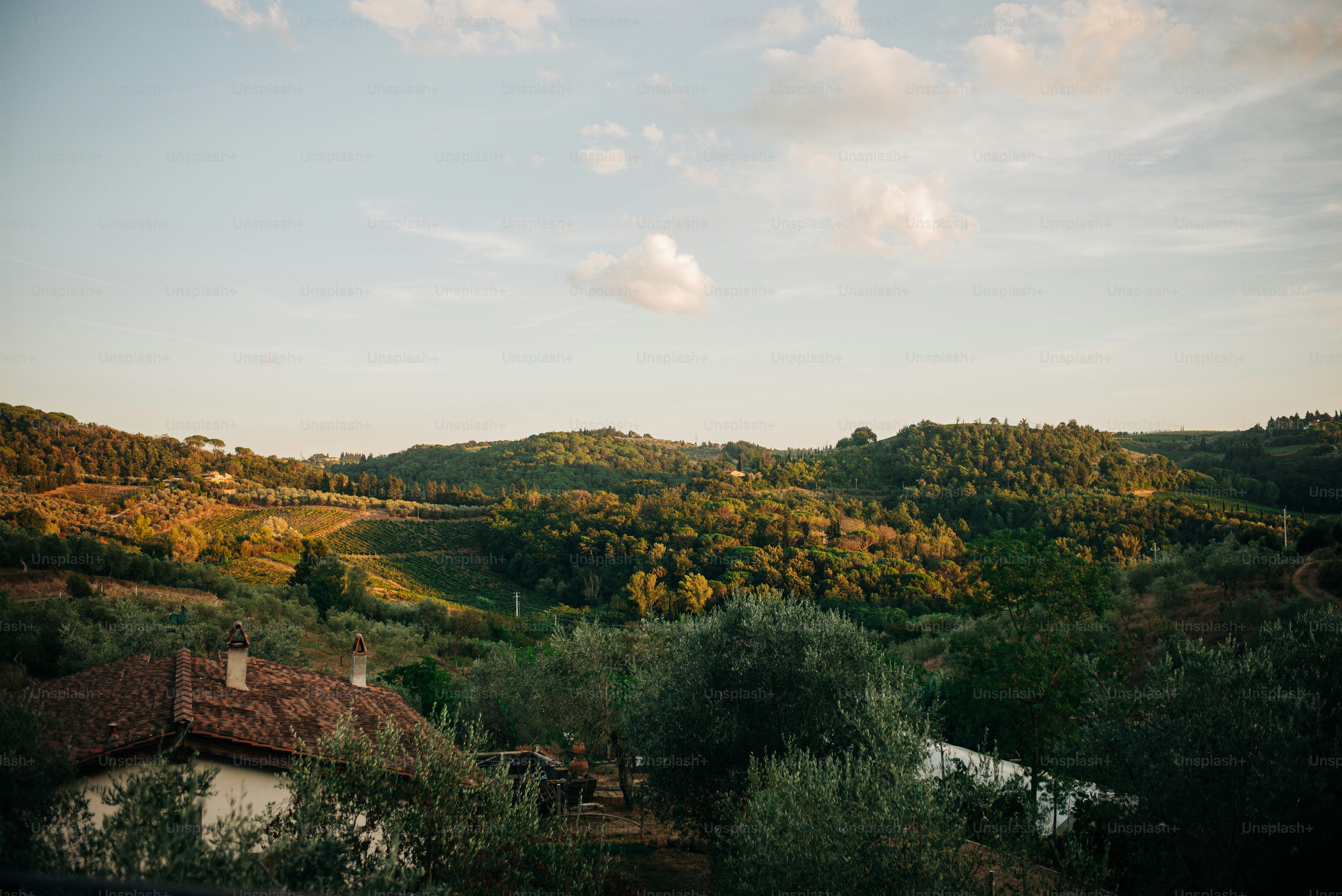 Rolling hills with trees and a house at sunset.