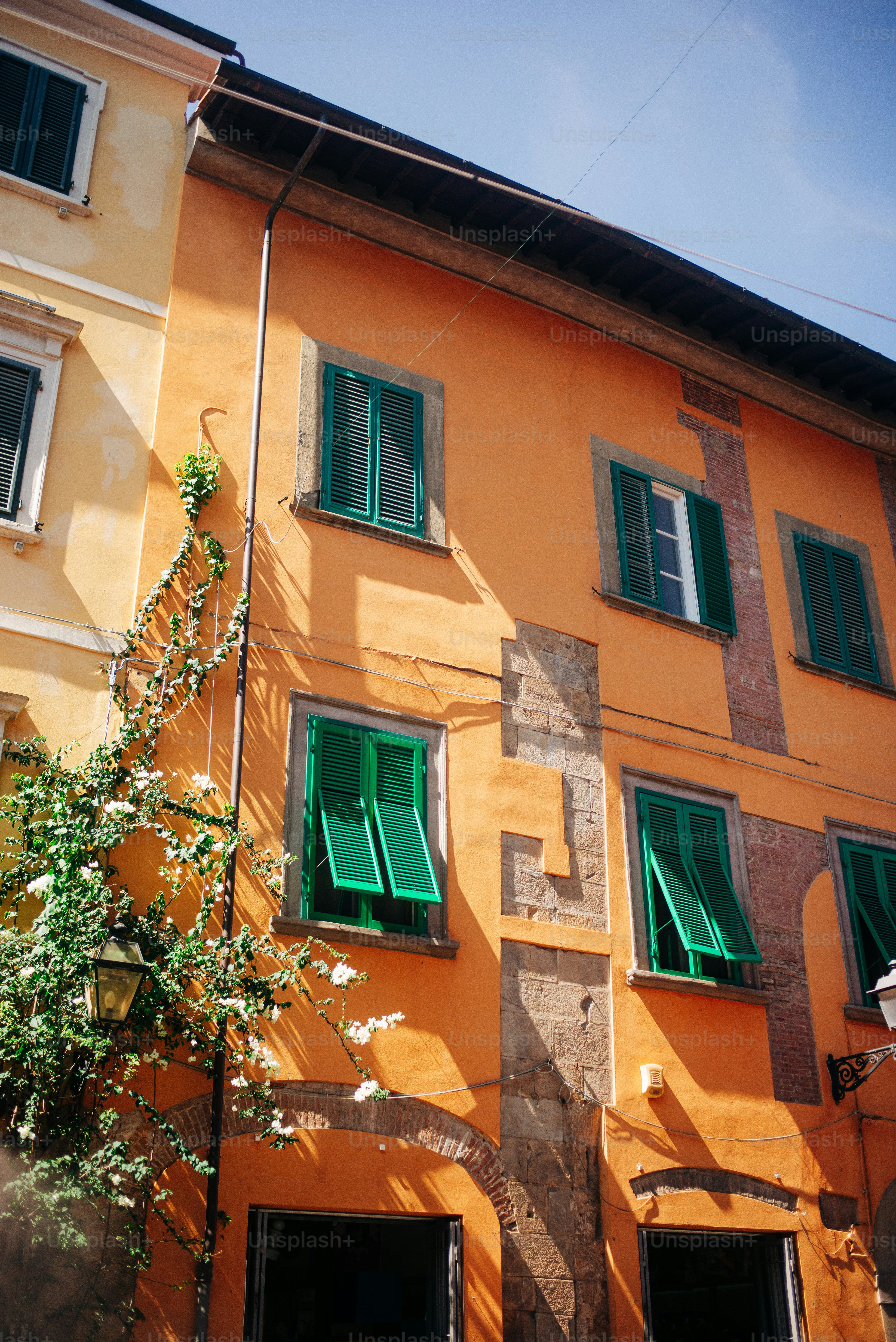 Orange building with green shutters and vines