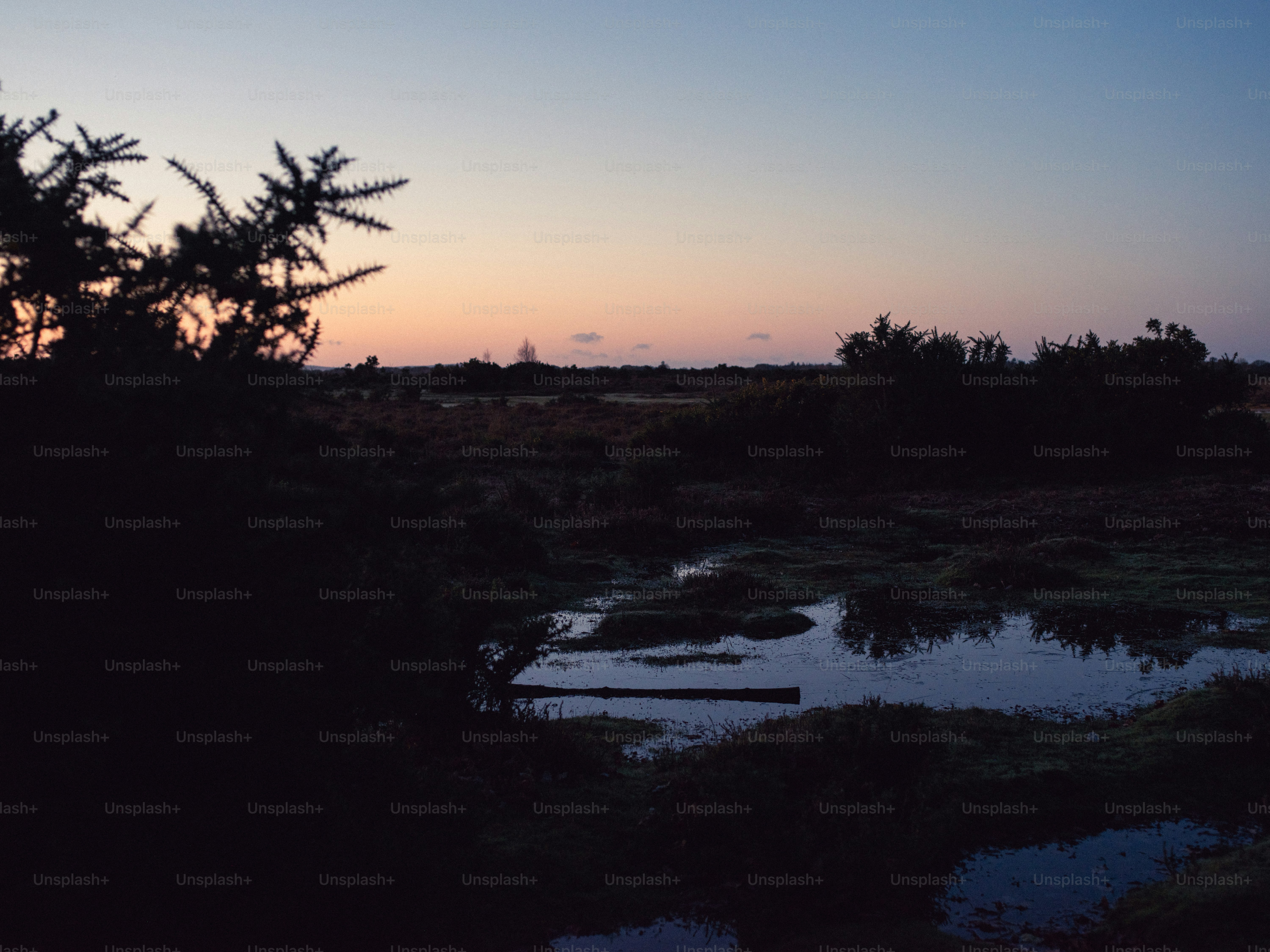 Twilight over a marshy landscape with calm water.