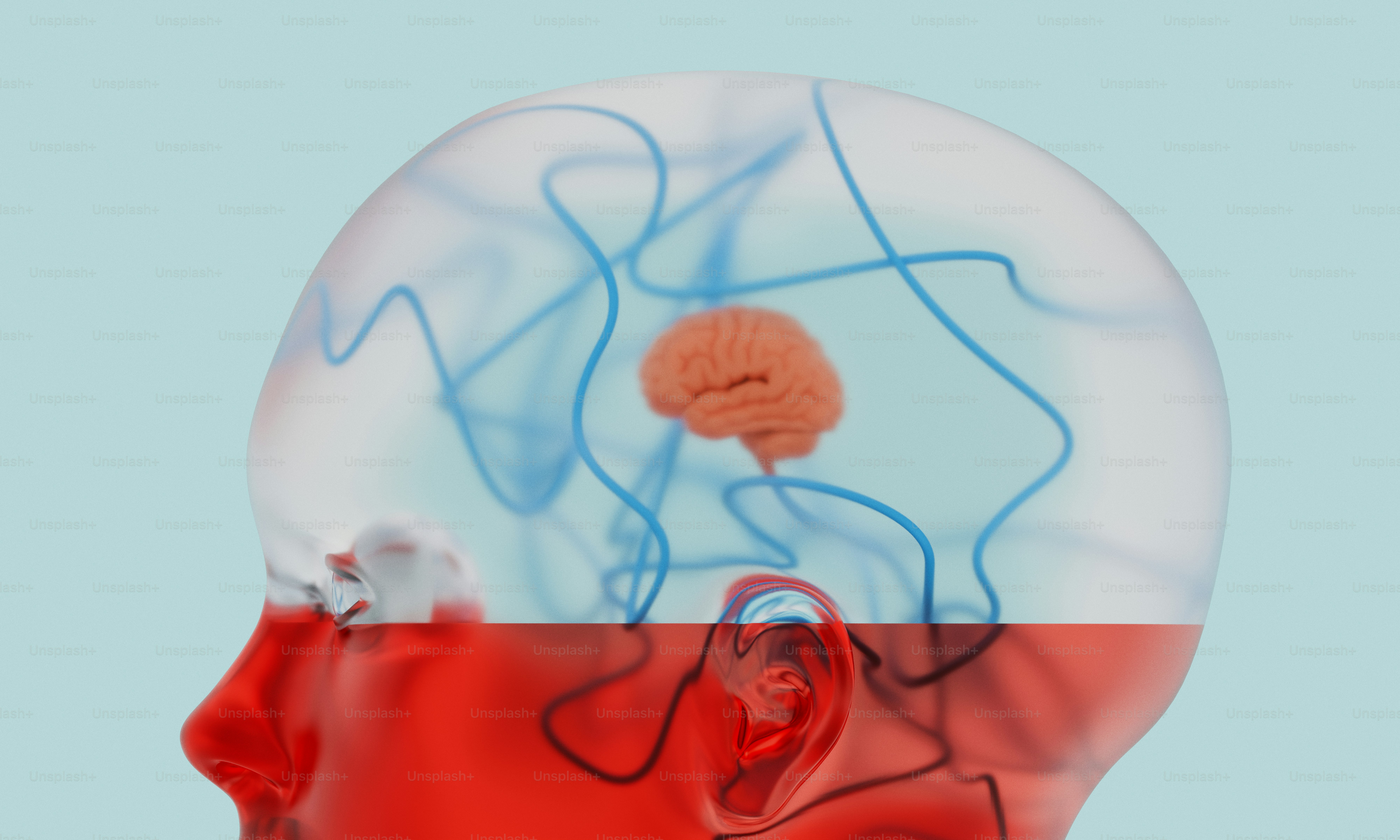 Transparent head showing brain and blood vessels