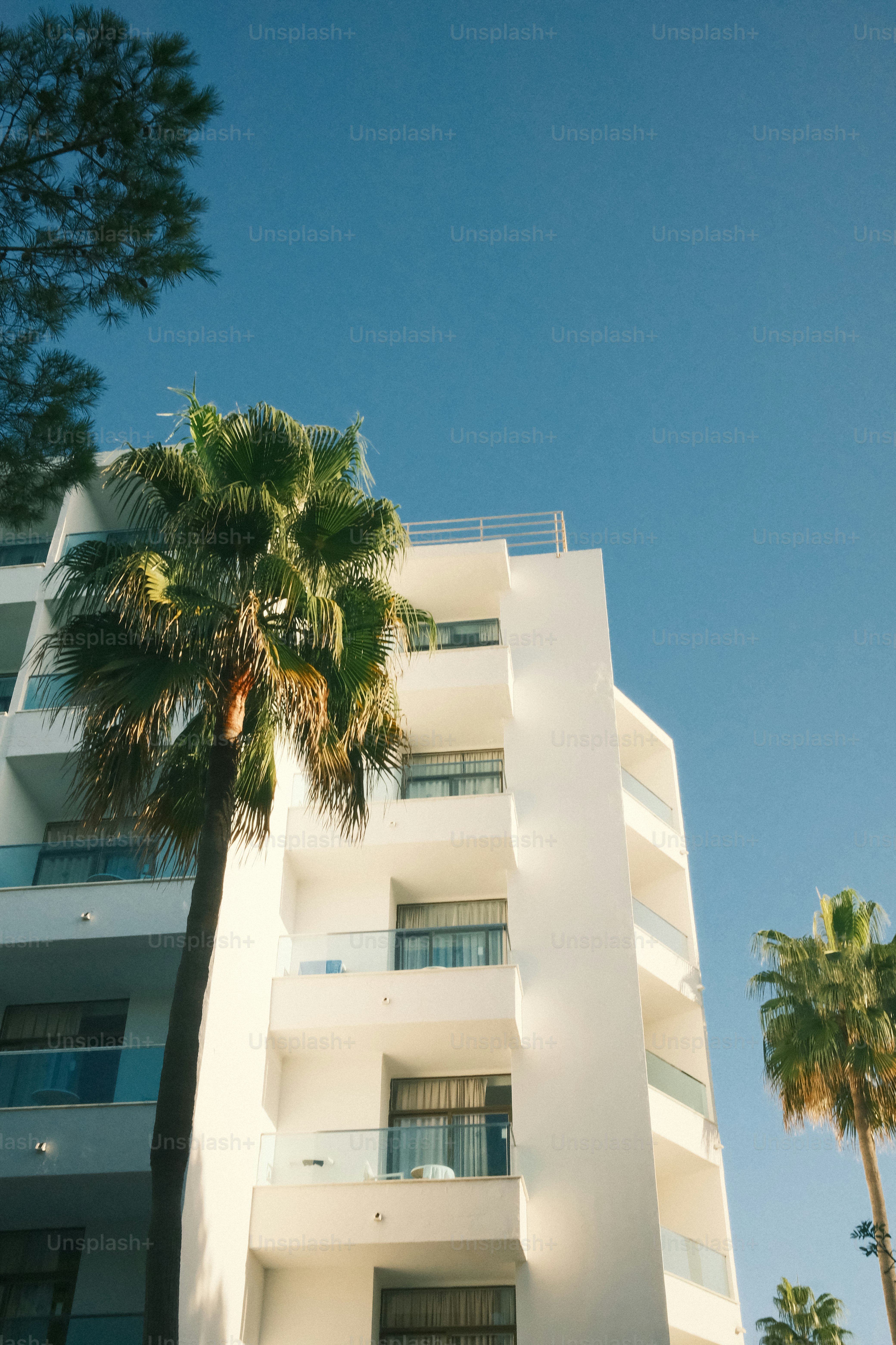 White hotel building with palm trees and blue sky