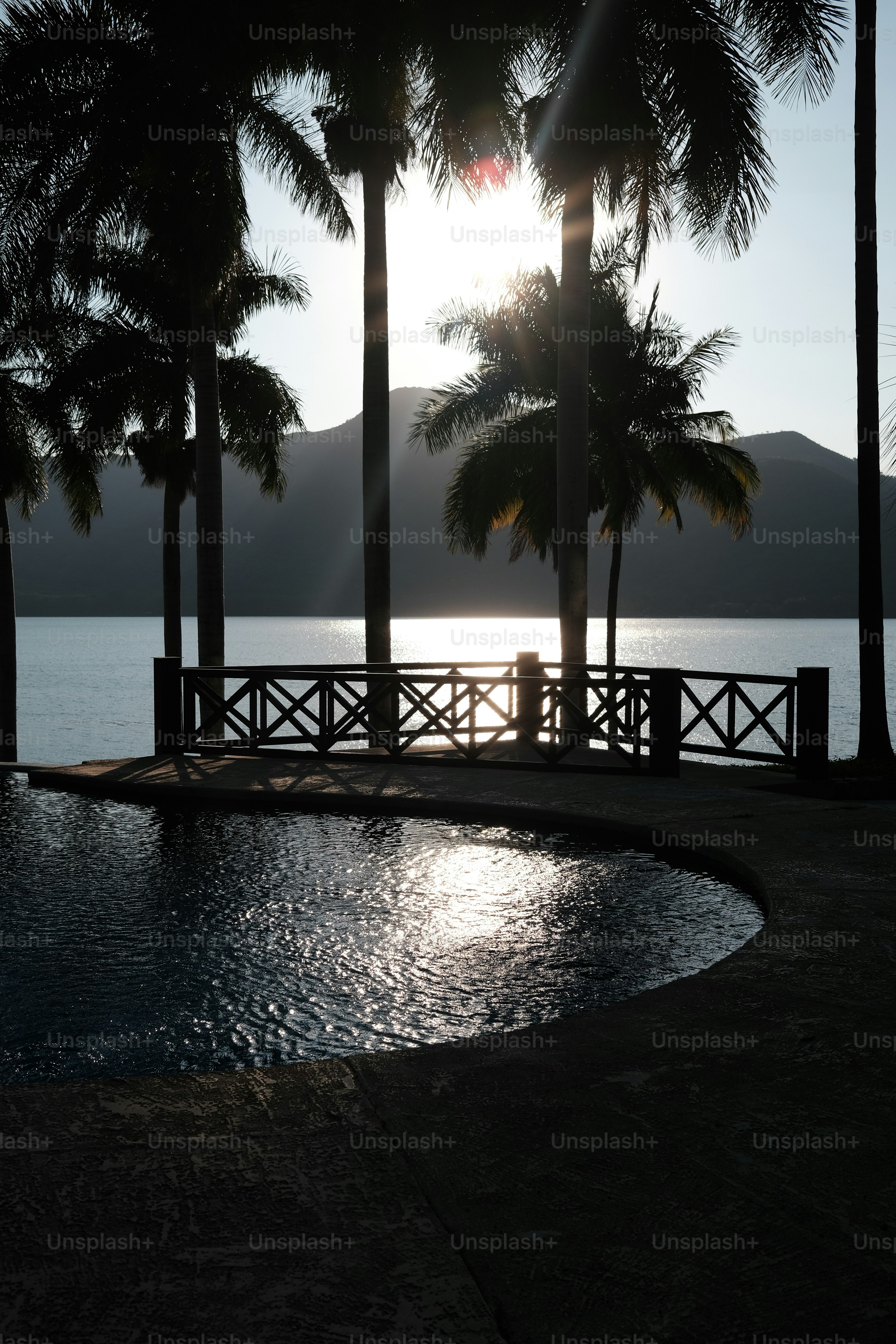 Palmen zeichnen sich bei Sonnenuntergang von einem Teich und Meer ab.