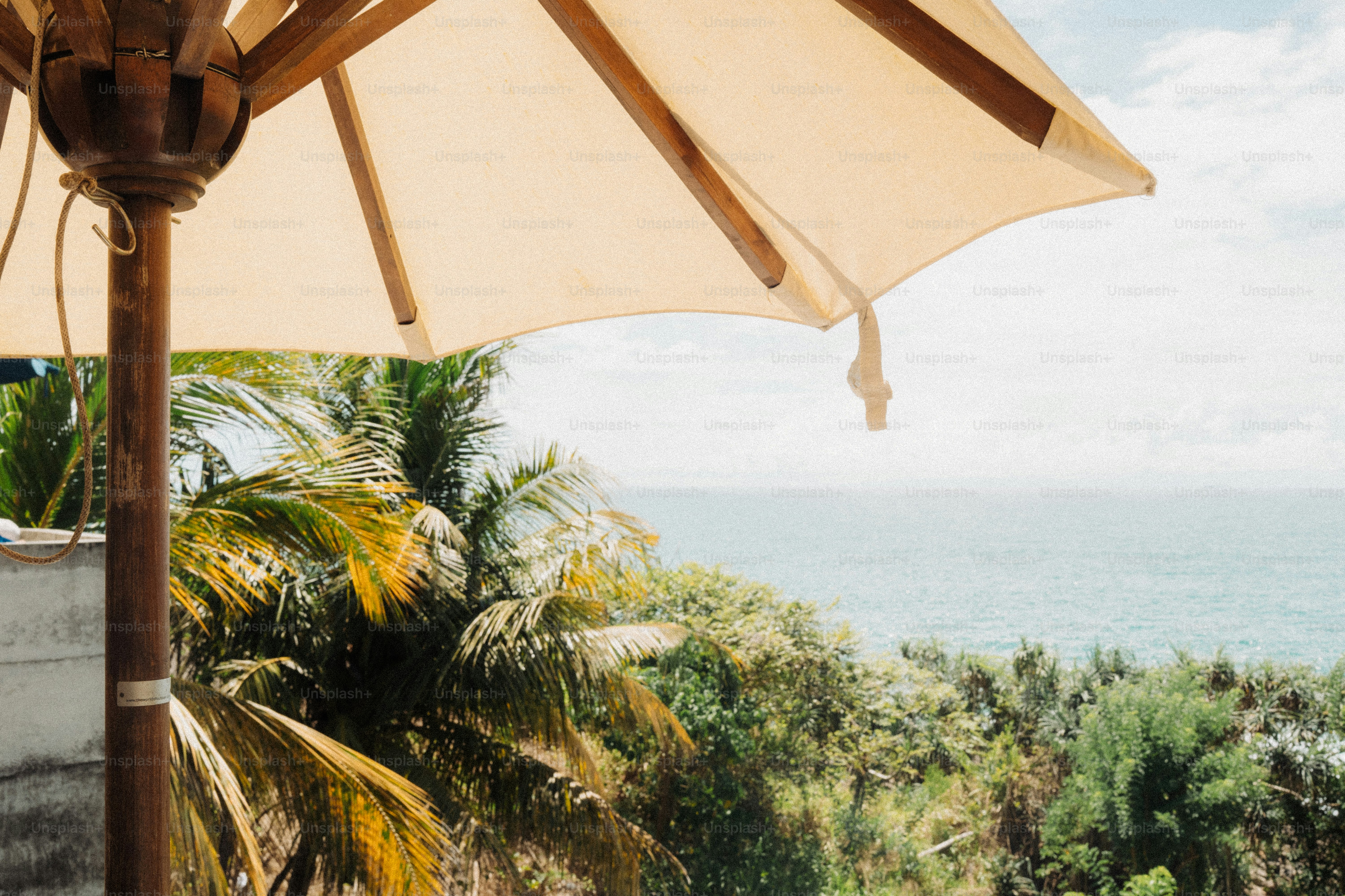 Beach umbrella and palm trees overlooking the ocean