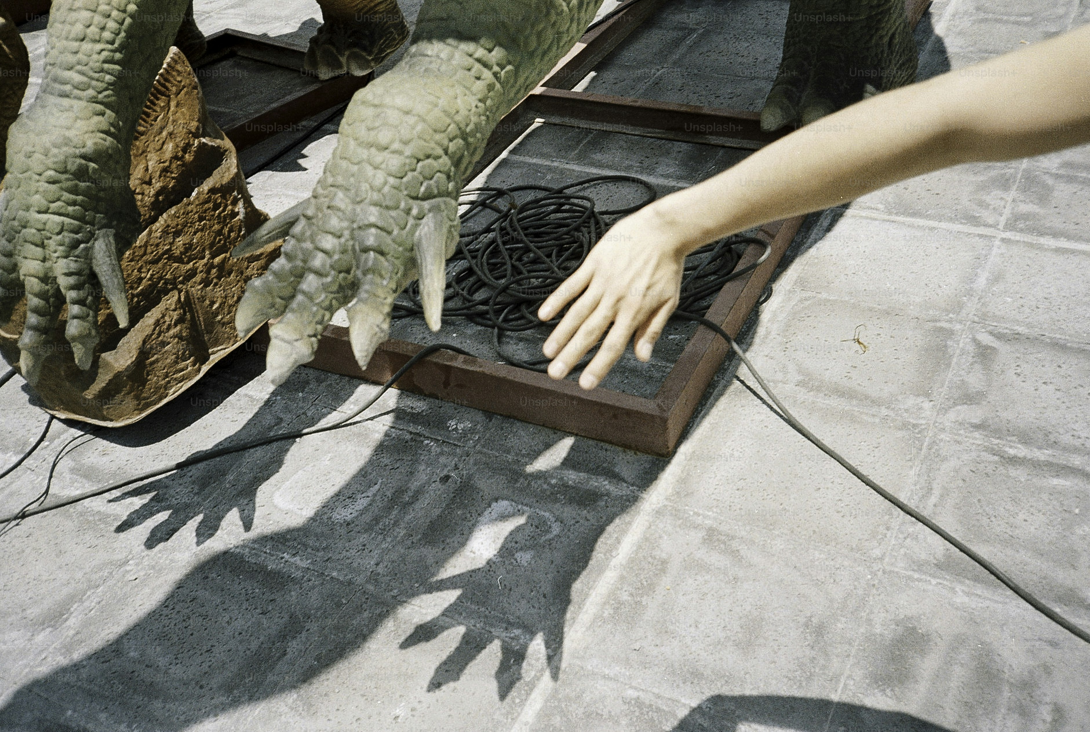 La main d’une personne se tend vers la griffe d’un dinosaure.