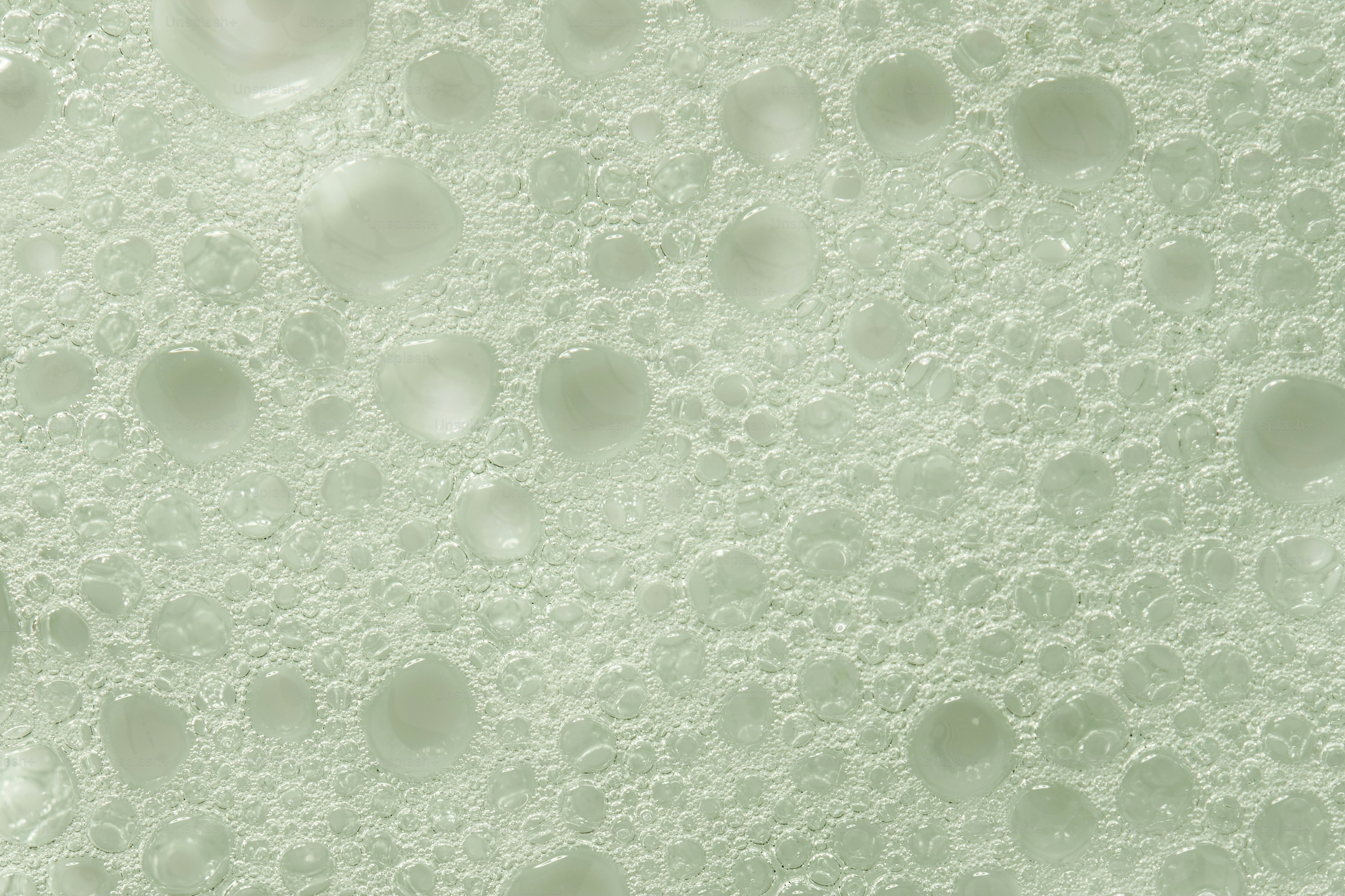 Close-up of many small and large bubbles.