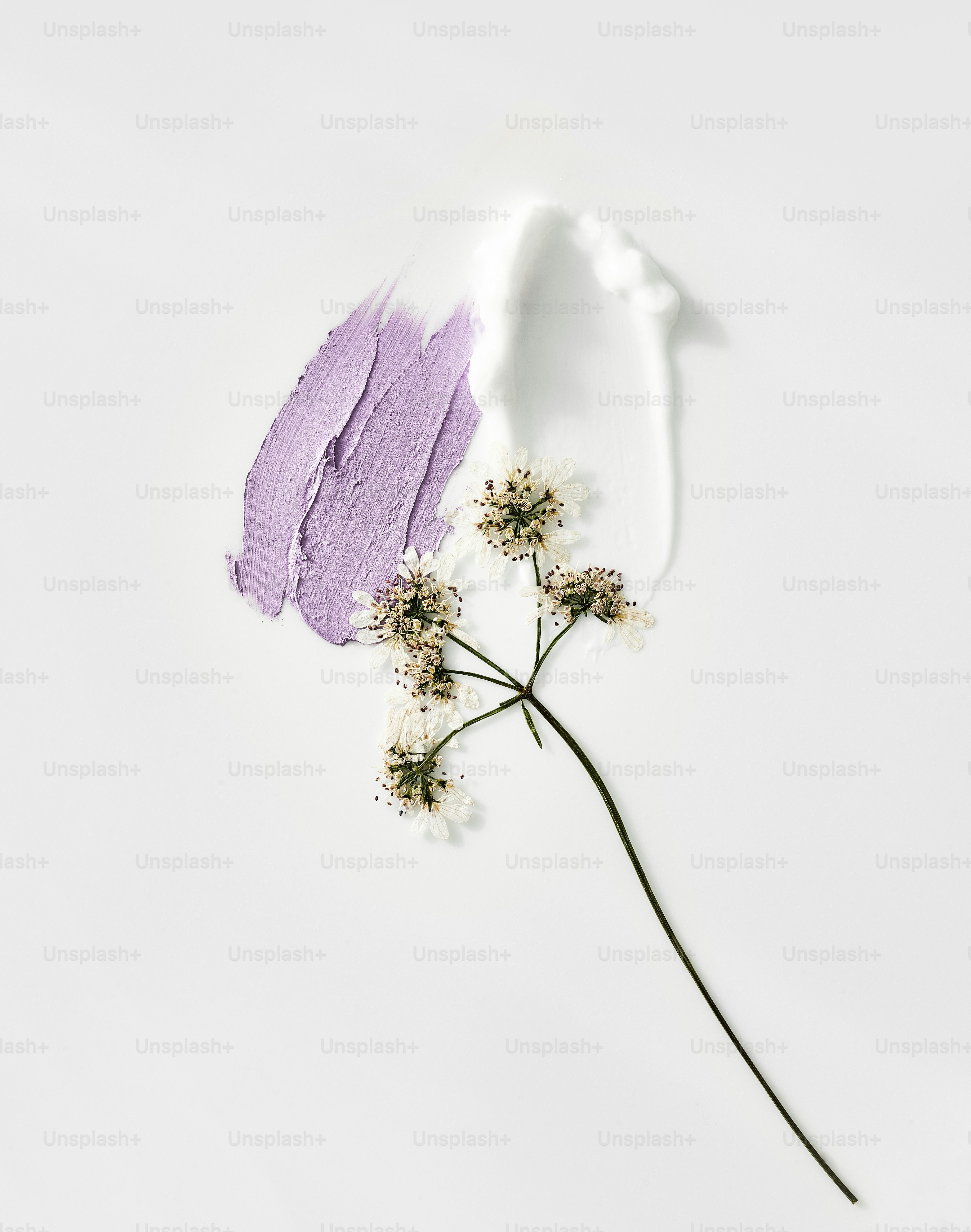 Purple and white cream swatches with delicate dried flower.