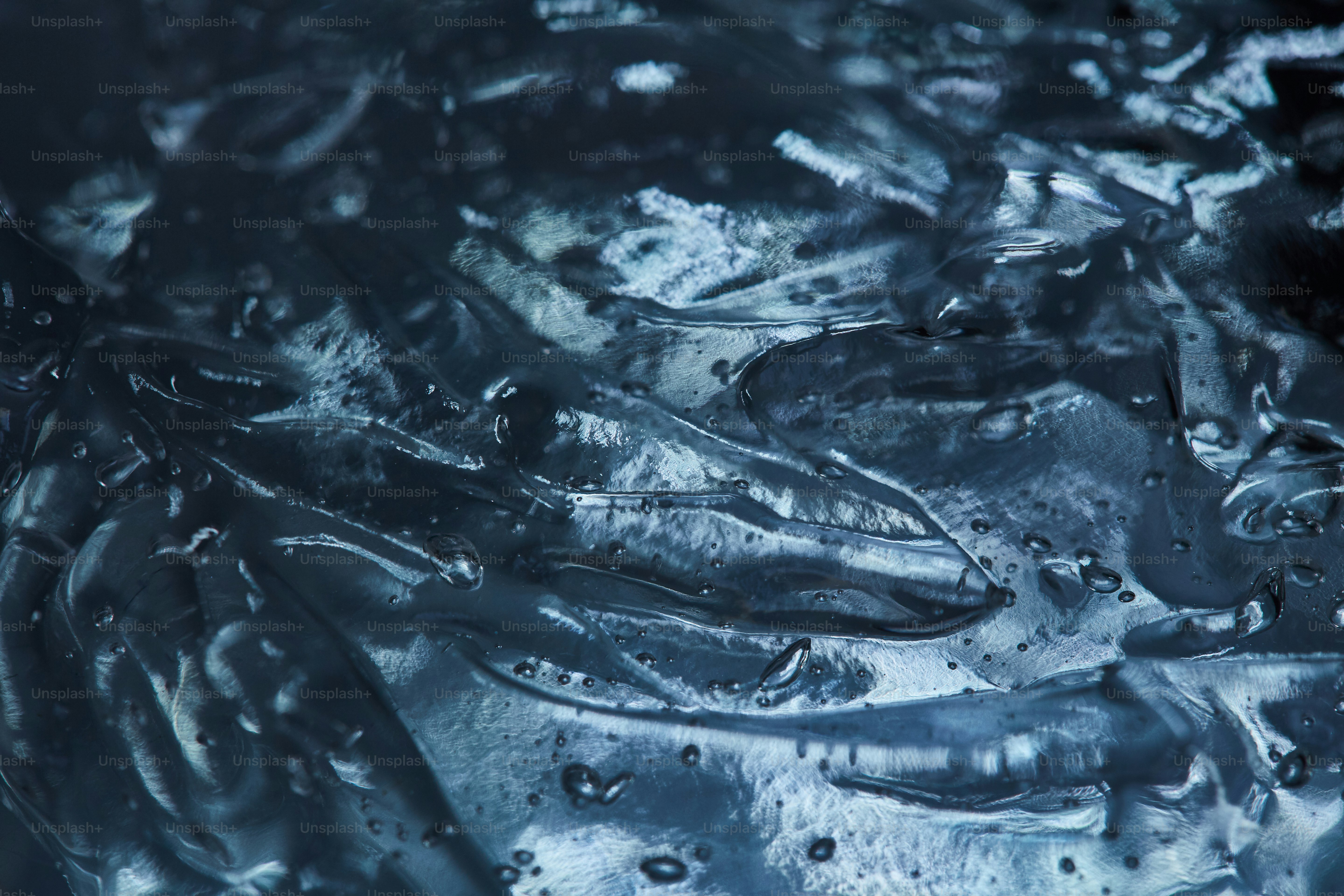 Close-up of many small fish swimming together