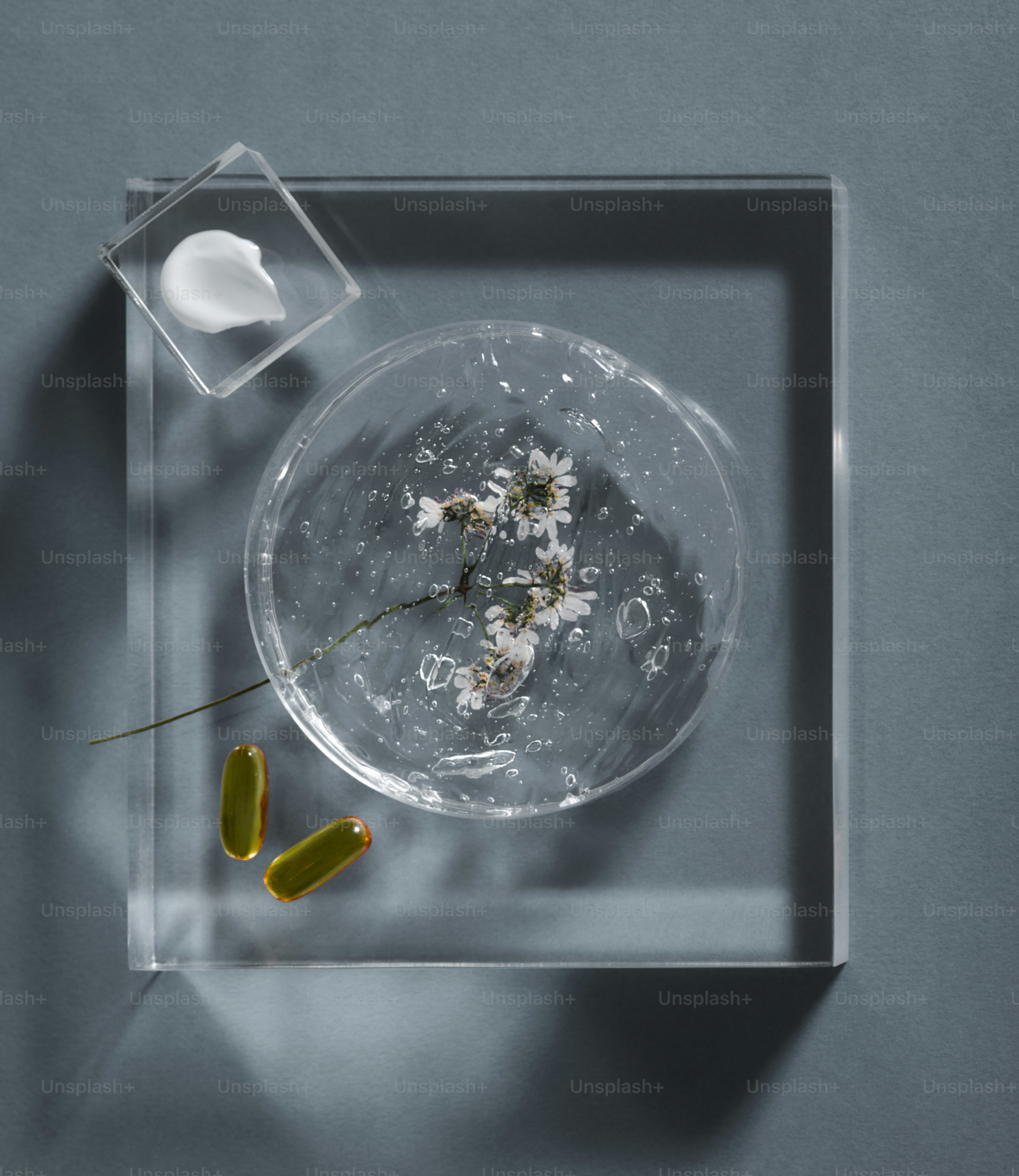 Cosmetic ingredients in petri dish with cream