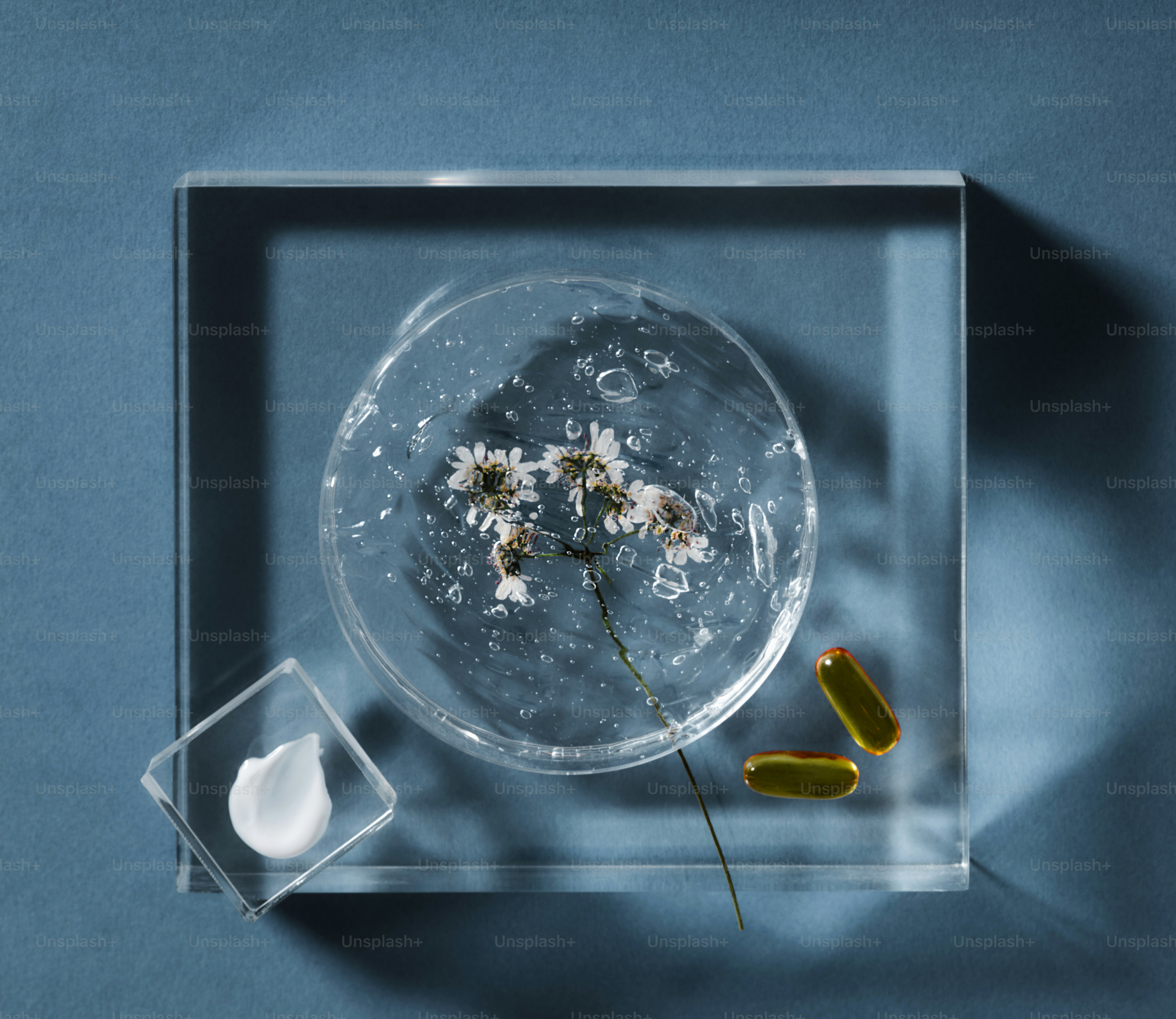 premium_photo-1764599125029-2f6c66819b48