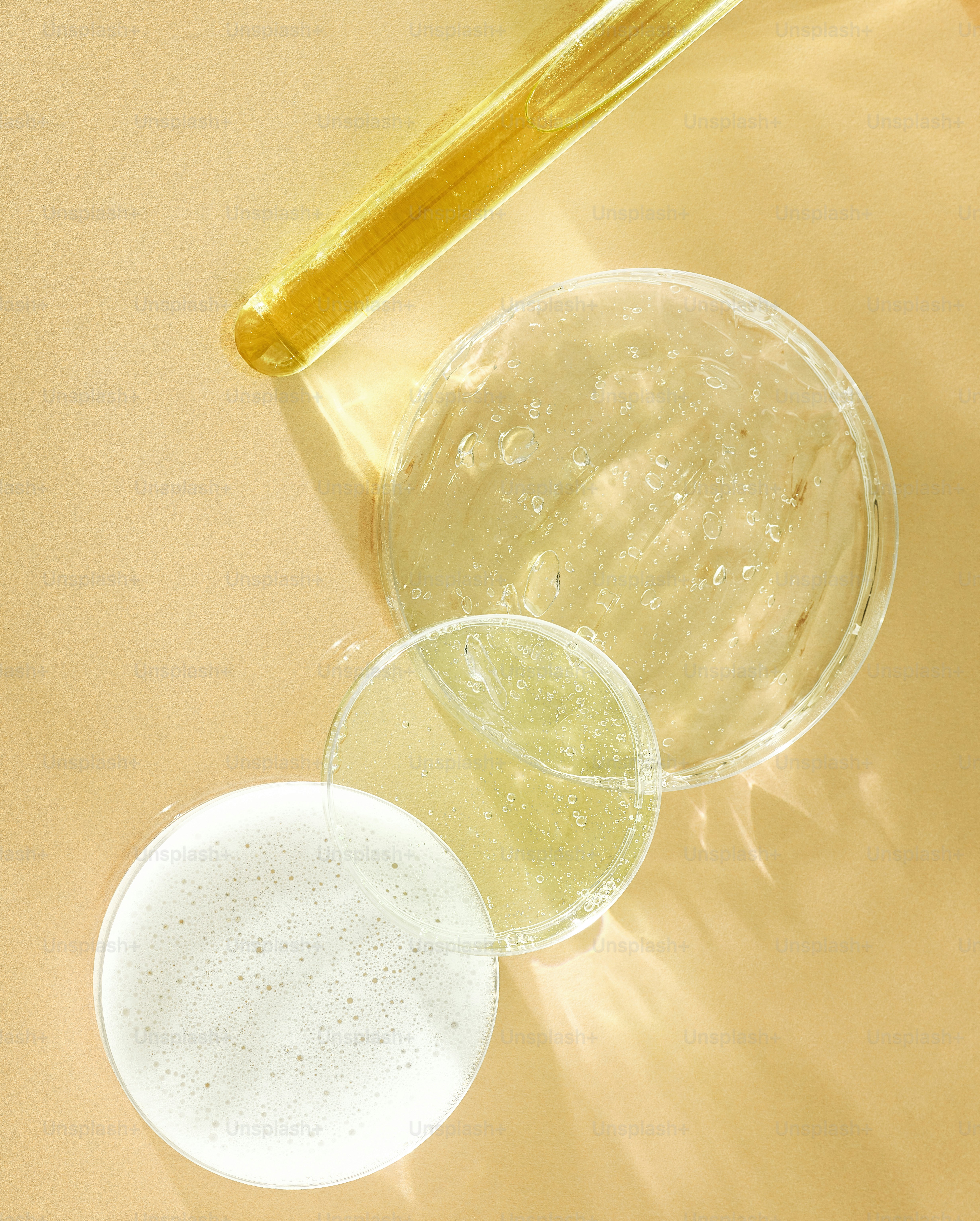 Clear liquids in petri dishes with pipette