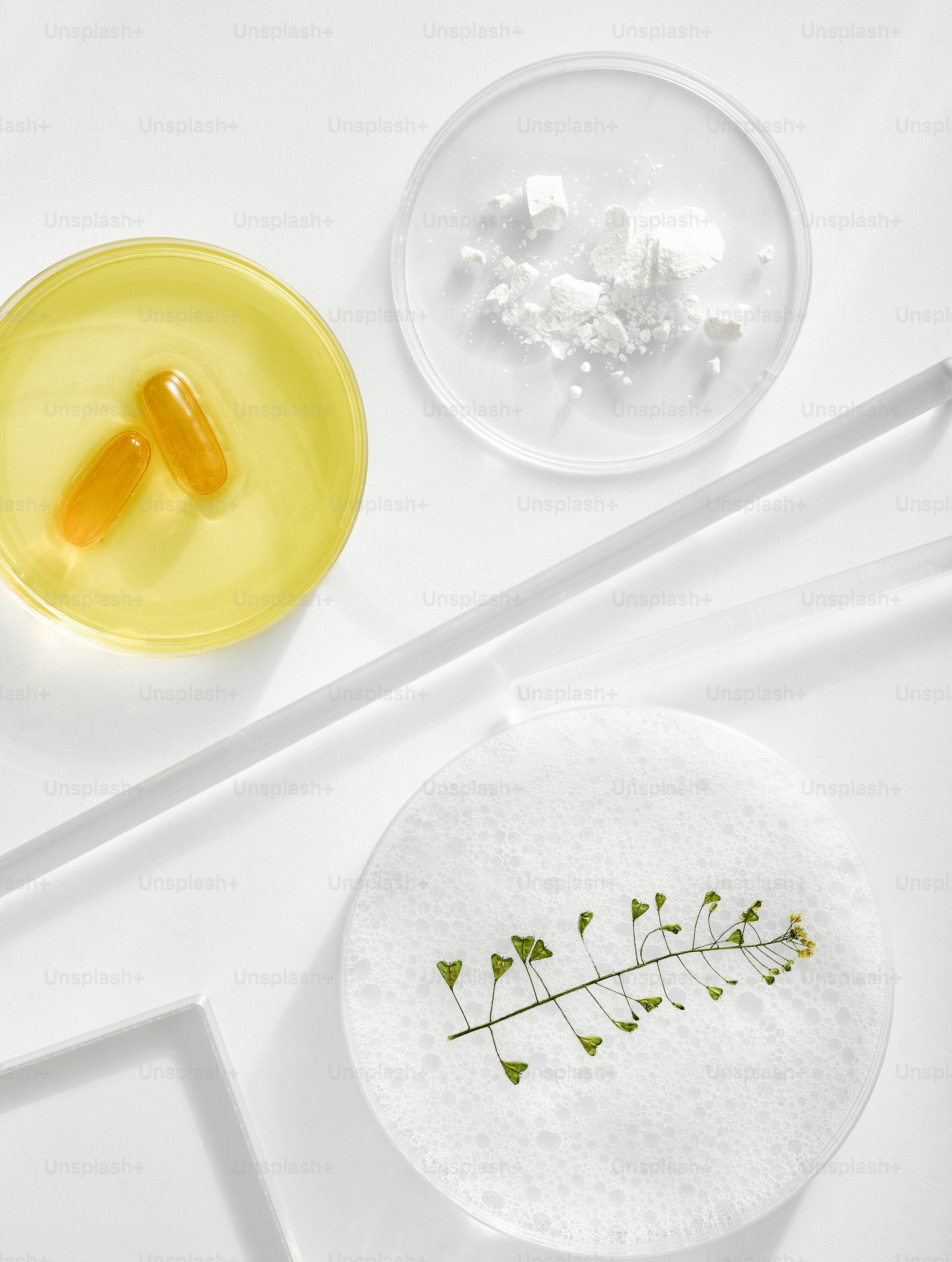 Capsules in yellow liquid with plant and powder